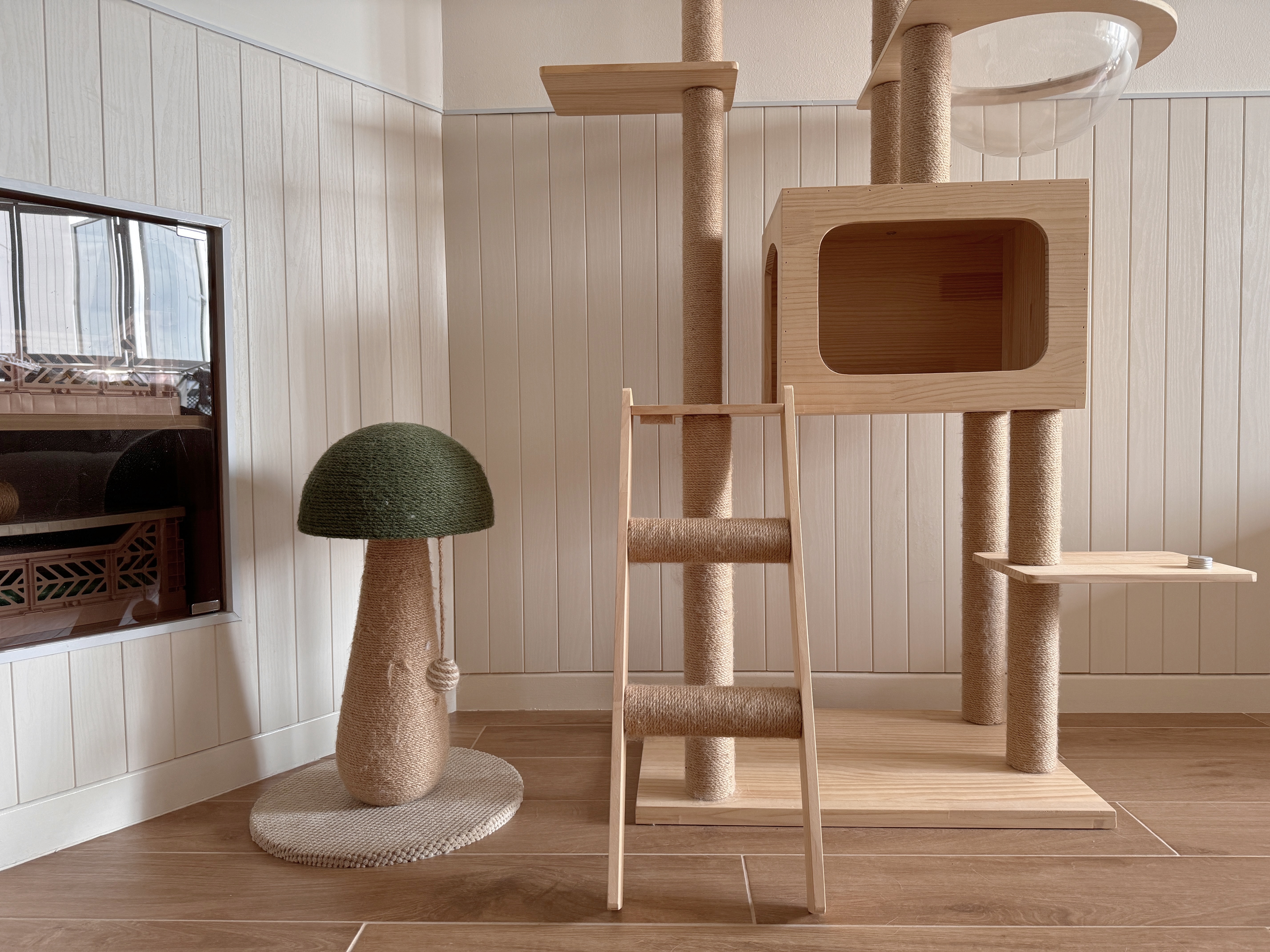 Pet-Proofing with Style: Tips for an Aesthetic, Cat-Friendly Home