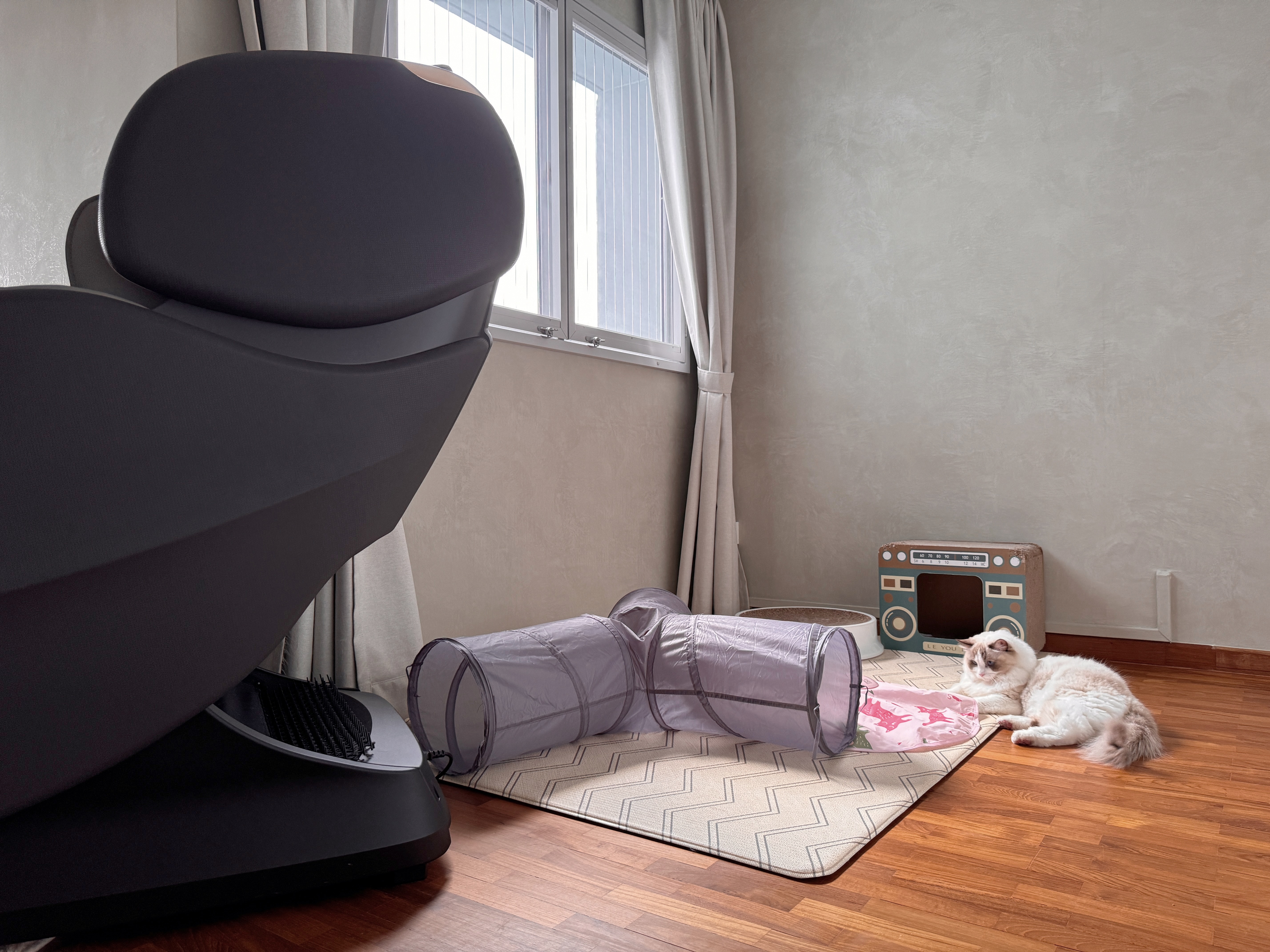 Pet-Proofing-with-Style:-Tips-for-an-Aesthetic,-Cat-Friendly-Home