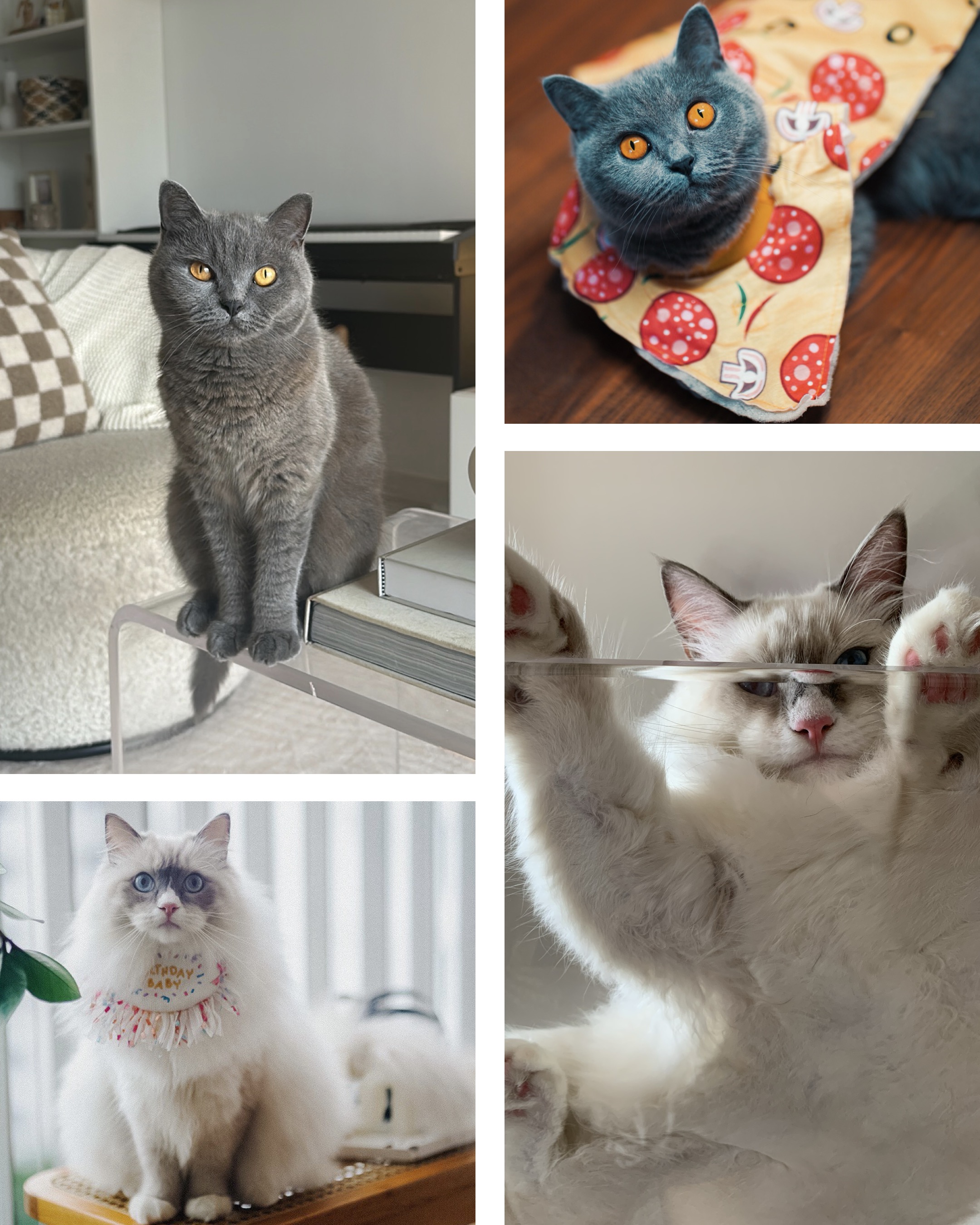 Styling-Our-Coffee-Table:-5-Tips-and-Tricks-🤩✨