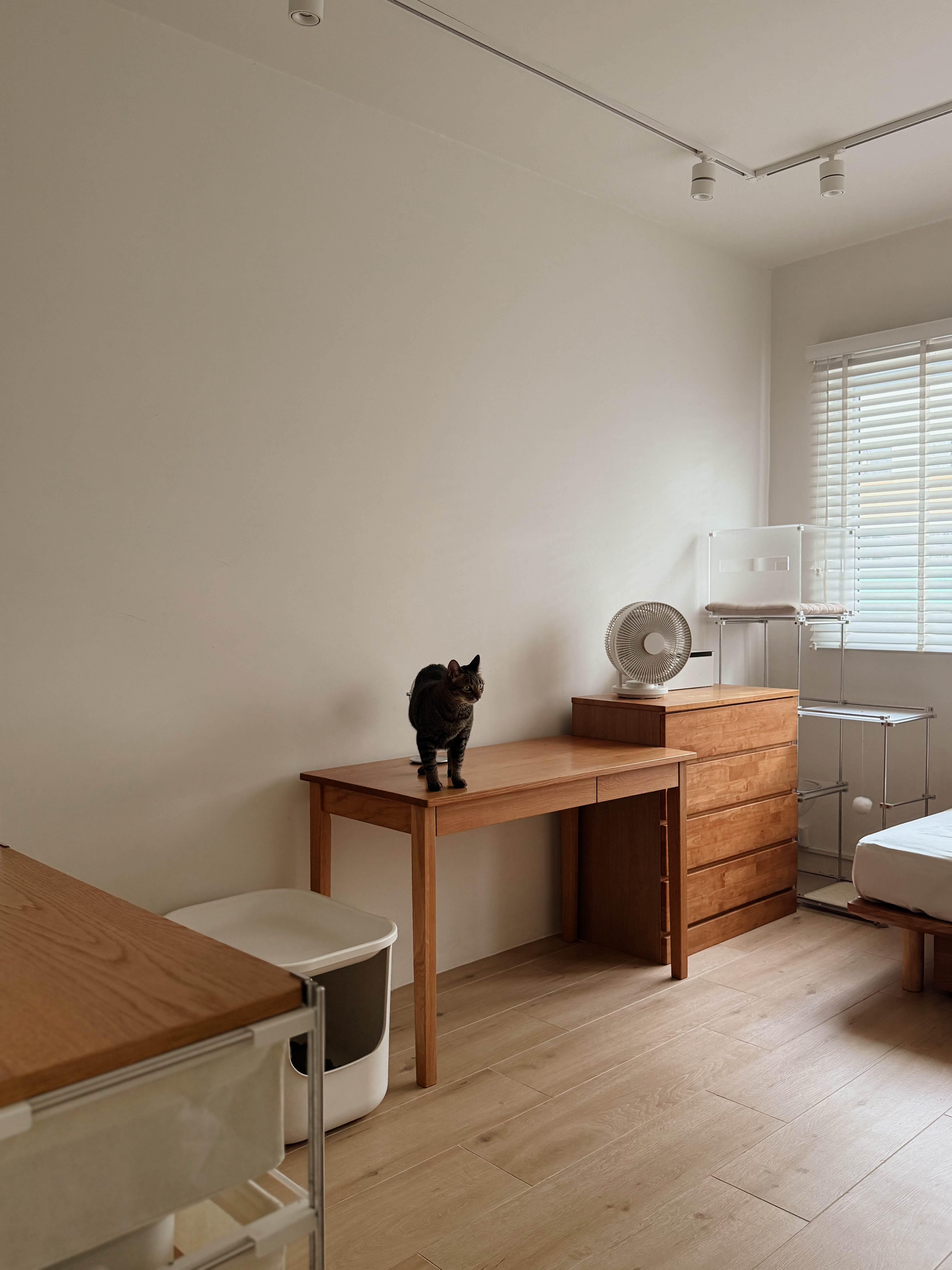 House-Tour:-A-Minimalist-Transformation-