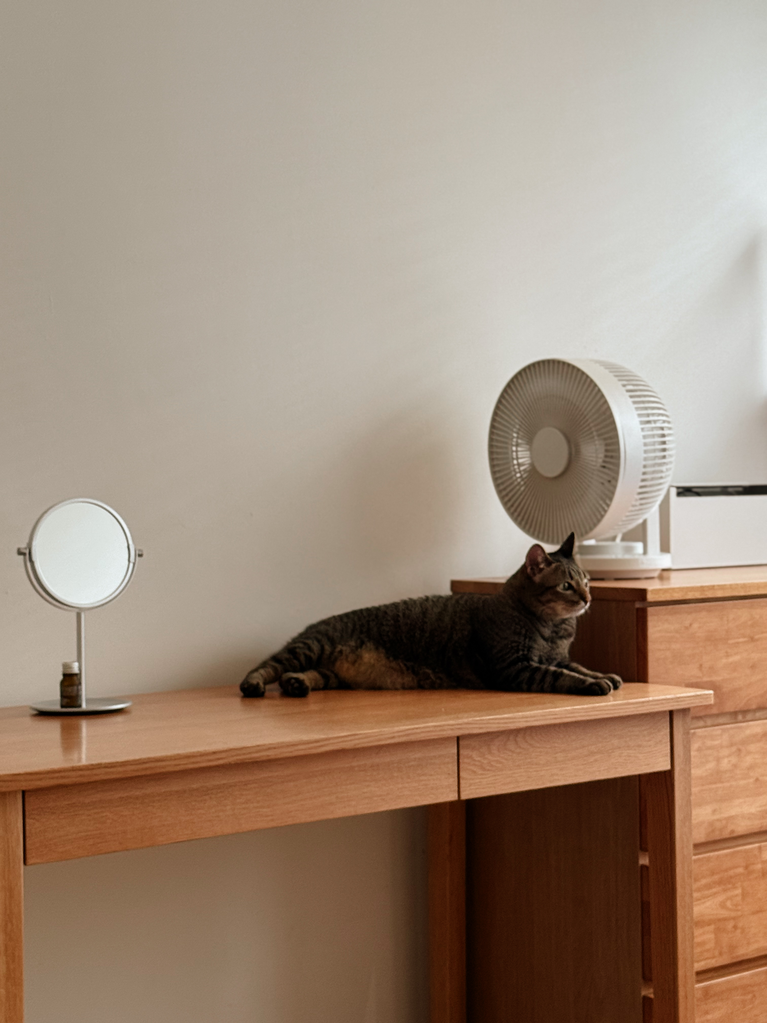 House-Tour:-A-Minimalist-Transformation-