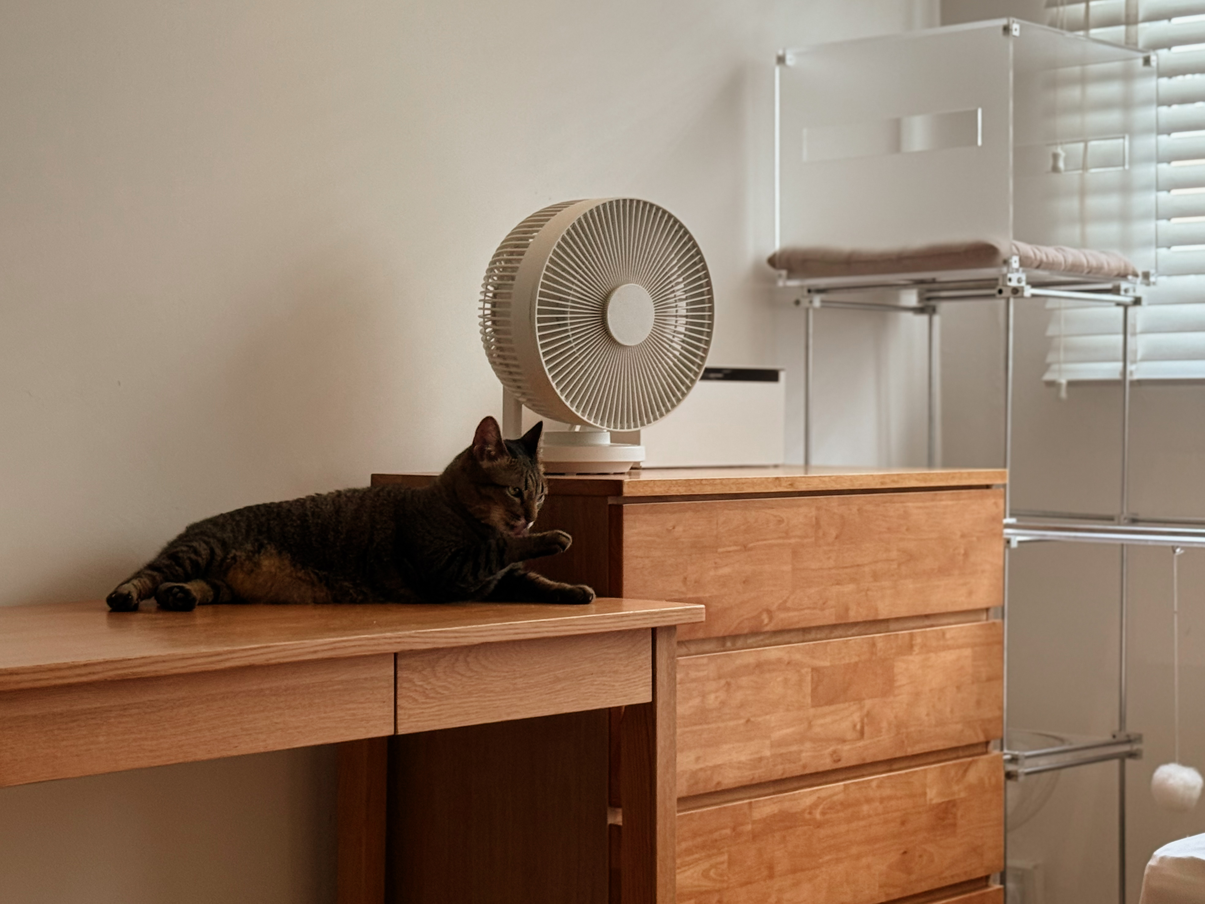 House Tour: A Minimalist Transformation