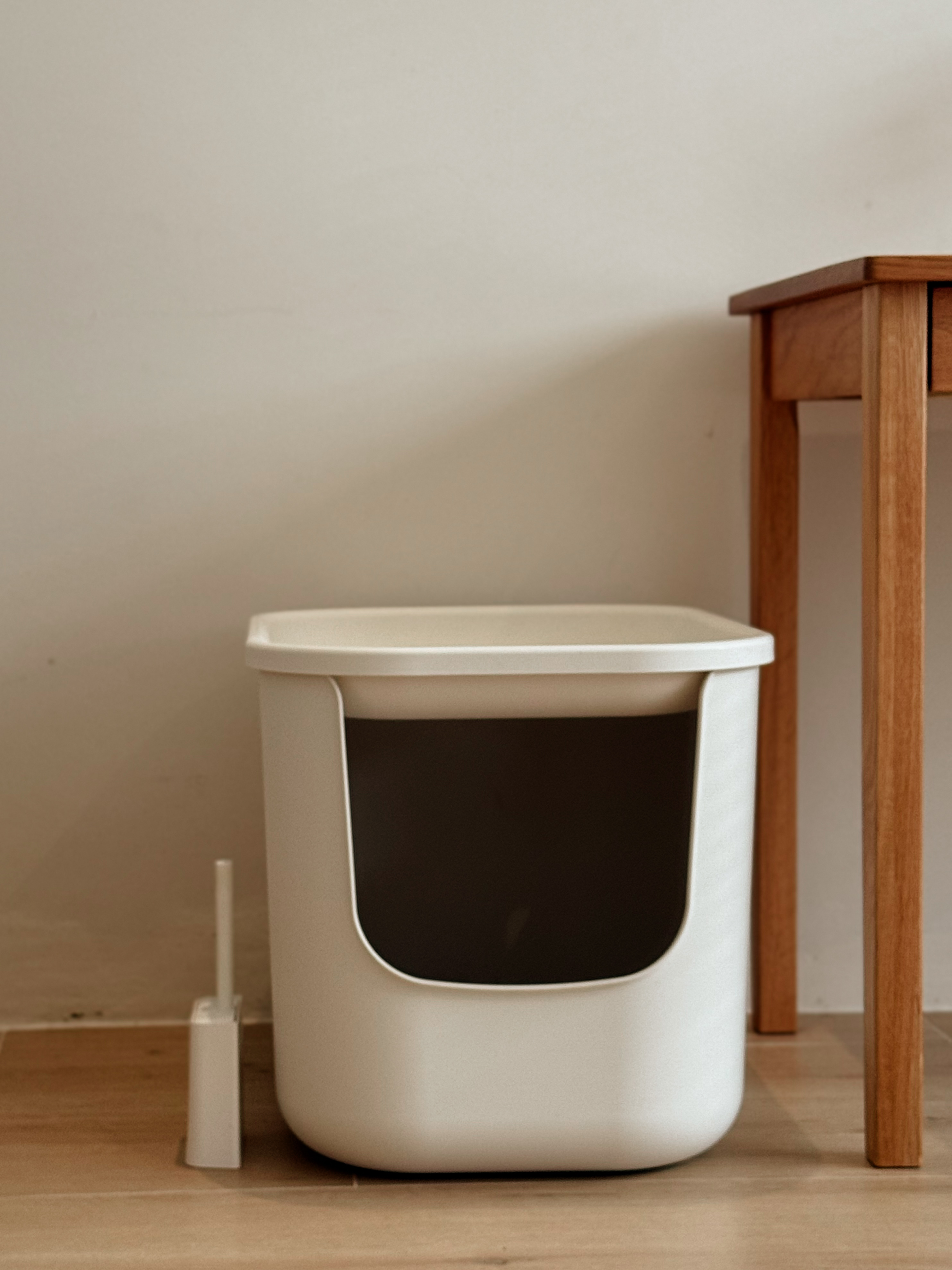 House Tour: A Minimalist Transformation