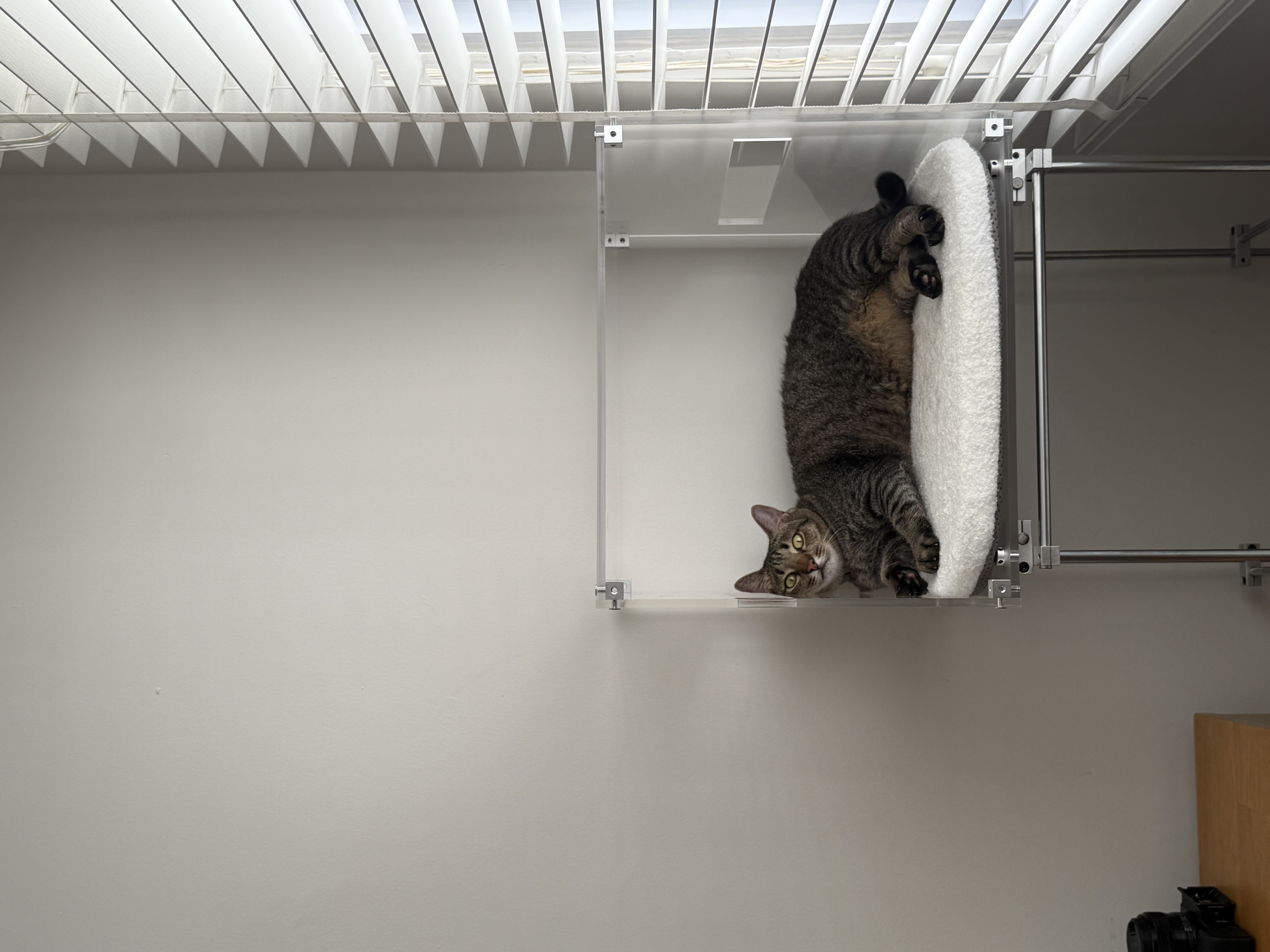 House Tour: A Minimalist Transformation