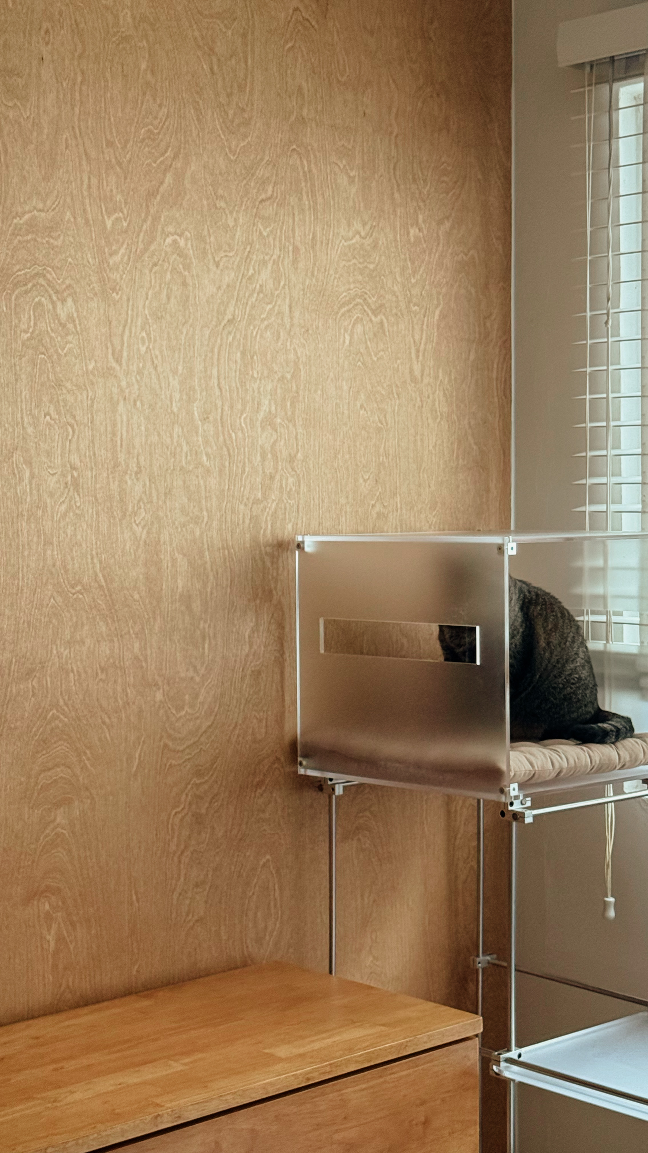 Lighting that Speaks to Your Space