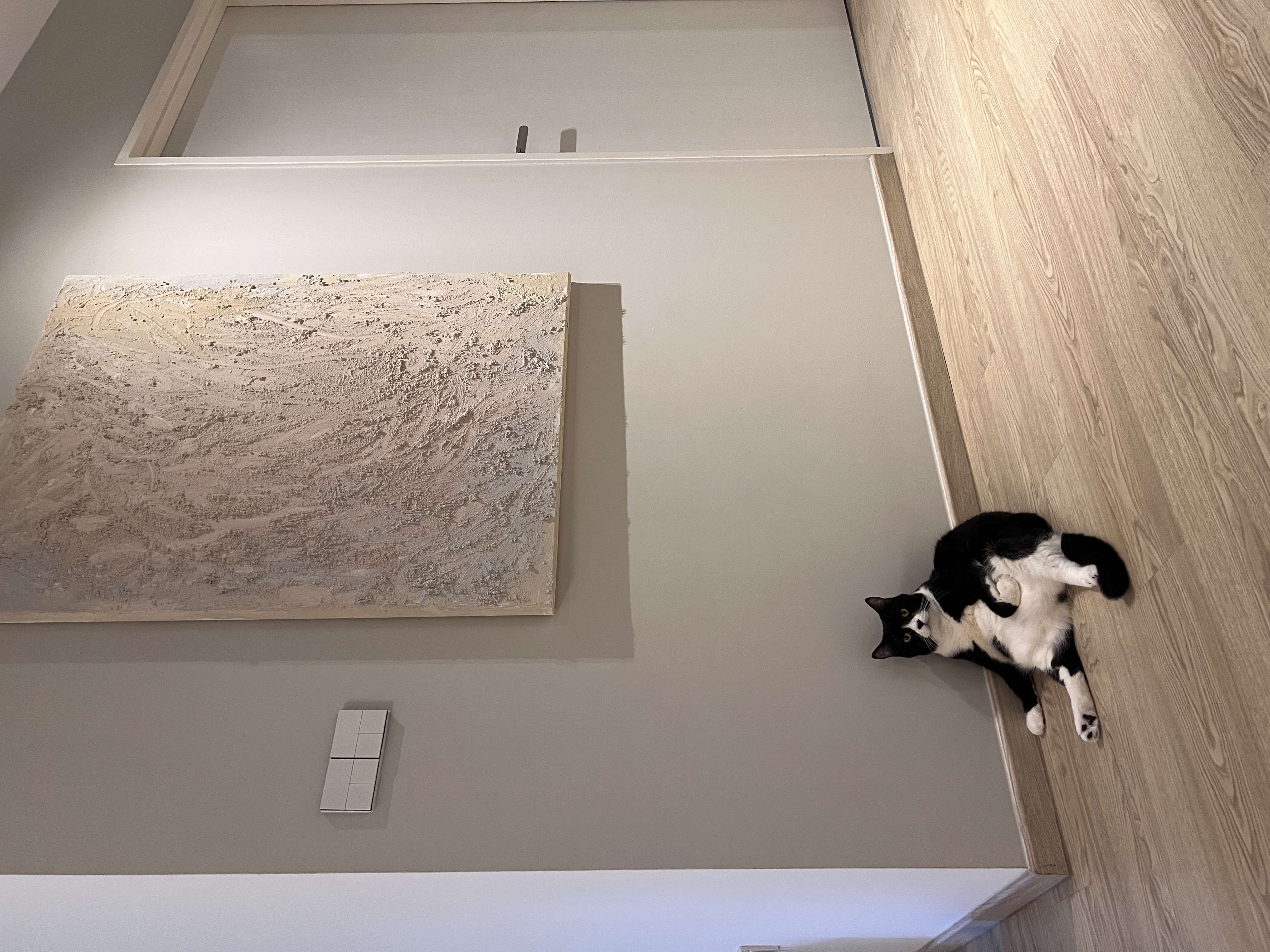 Textured wall art DIY: Involve your pet!