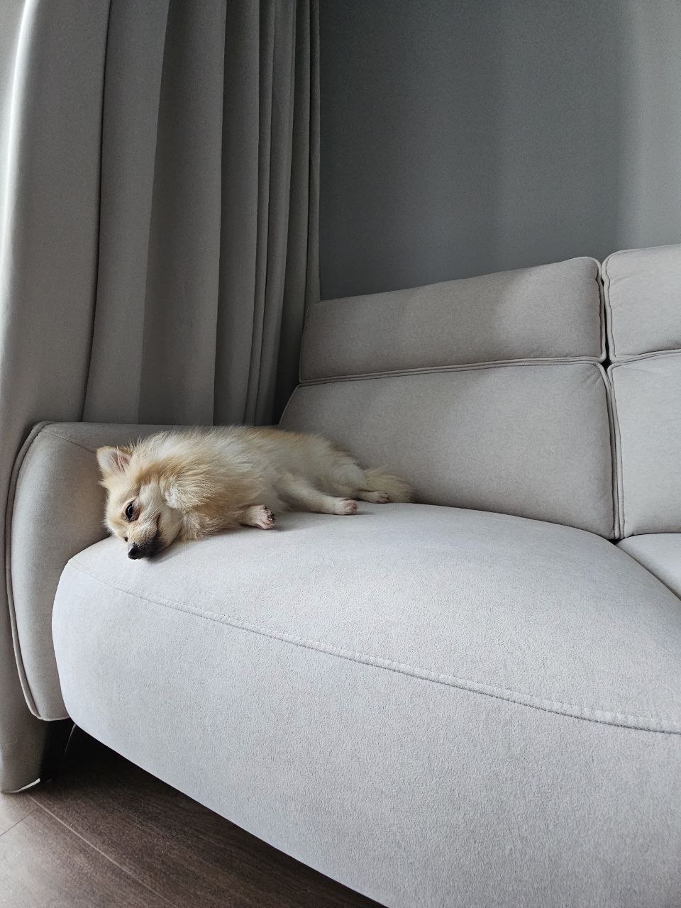 Our Dark & Cozy Minimalist Living Room: A Perfect Place to Unwind 🛋✨