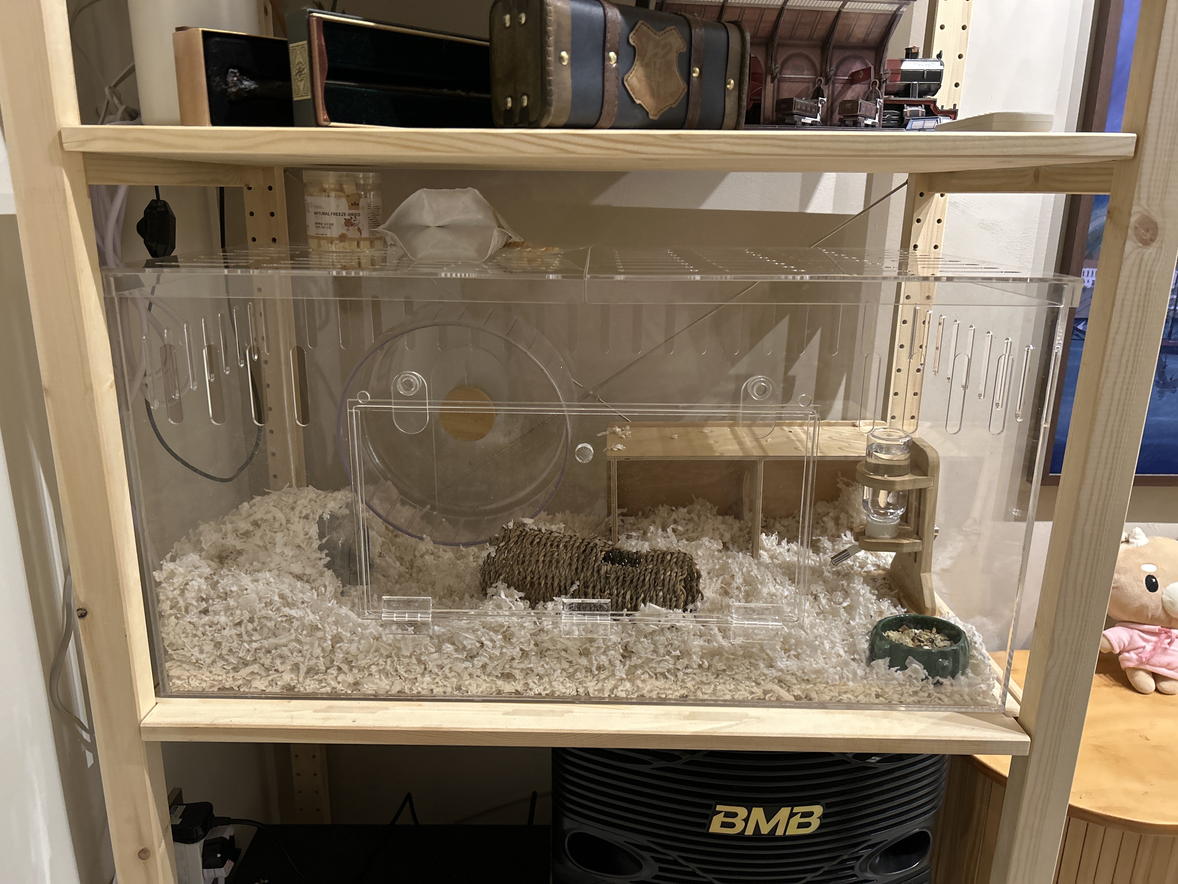 Pet-furniture-hunting:-a-tiny-hamster-but-huge-mansion!