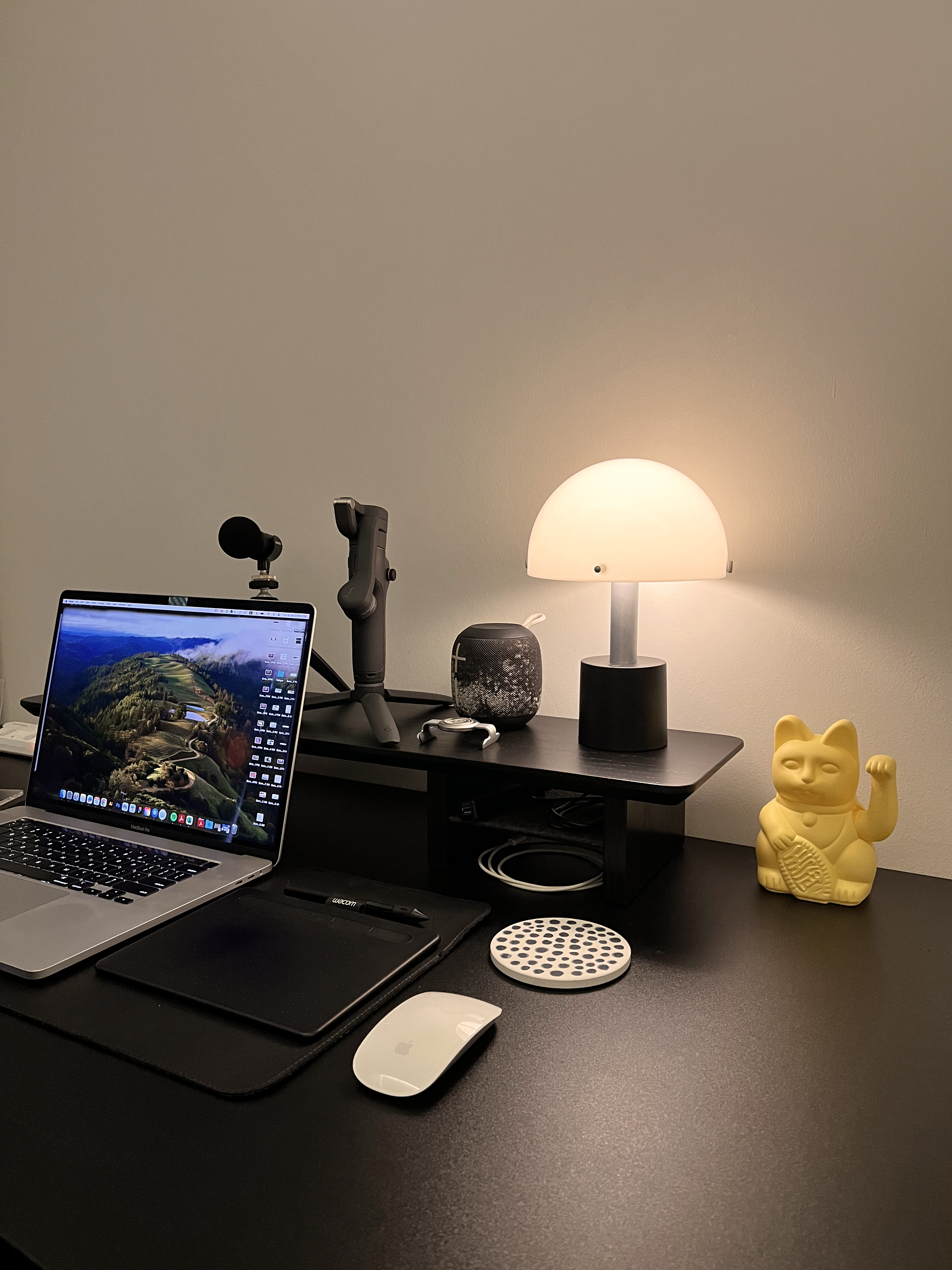 Double the Desks, Double the Fun: A Peek into Our Study Room