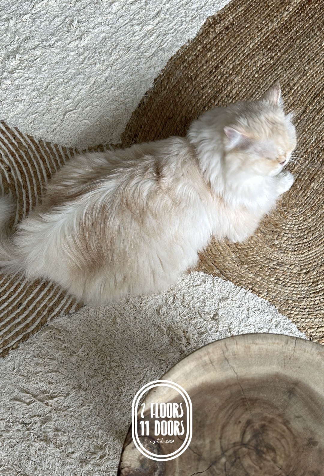 A Peak into Our Living Room!