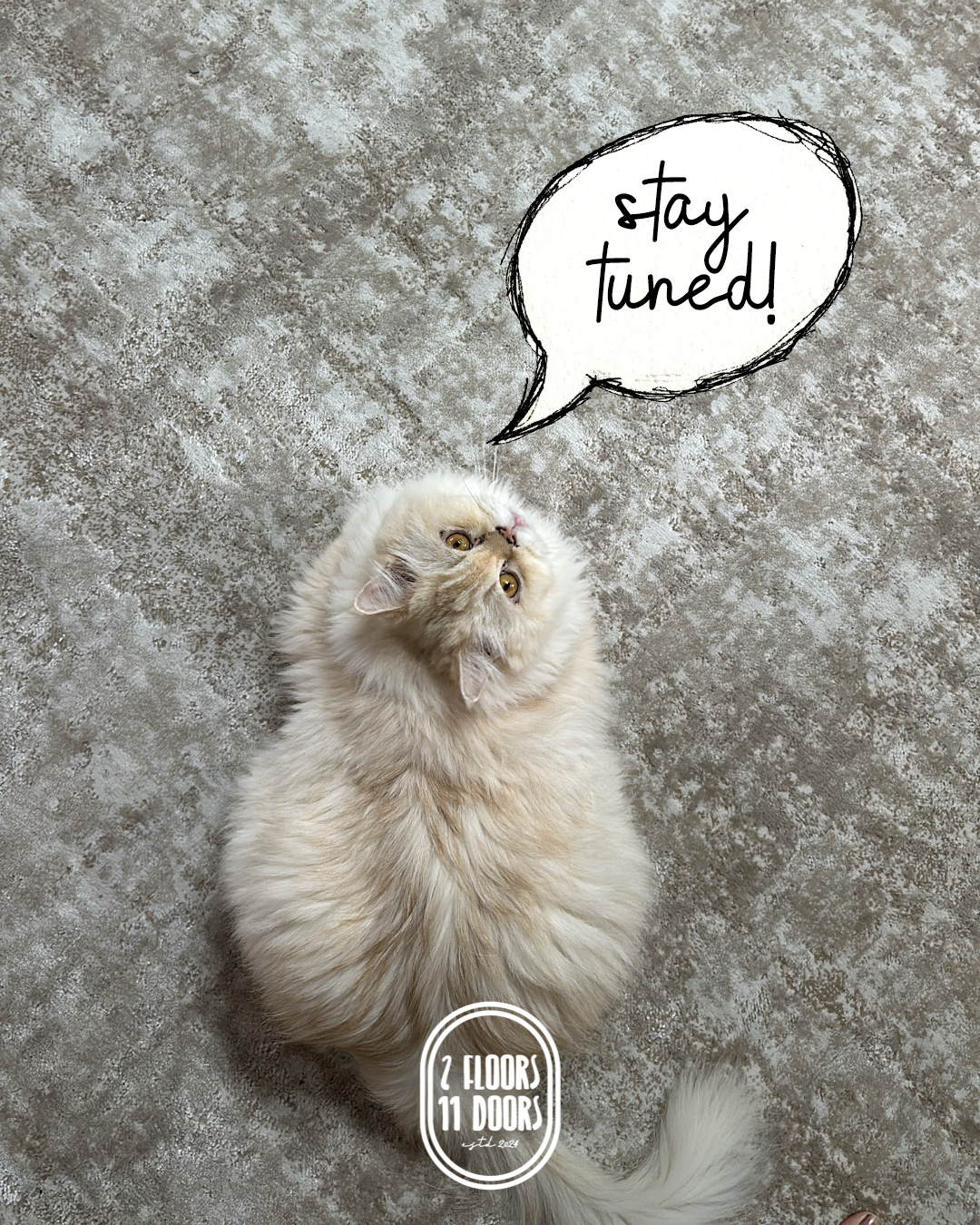 Not-Your-Ordinary-Entryway:-No-Built-Ins,-No-Problem!