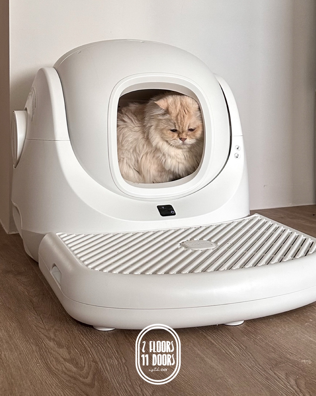 Best Home Investments + Things We Said We'd Never Get!