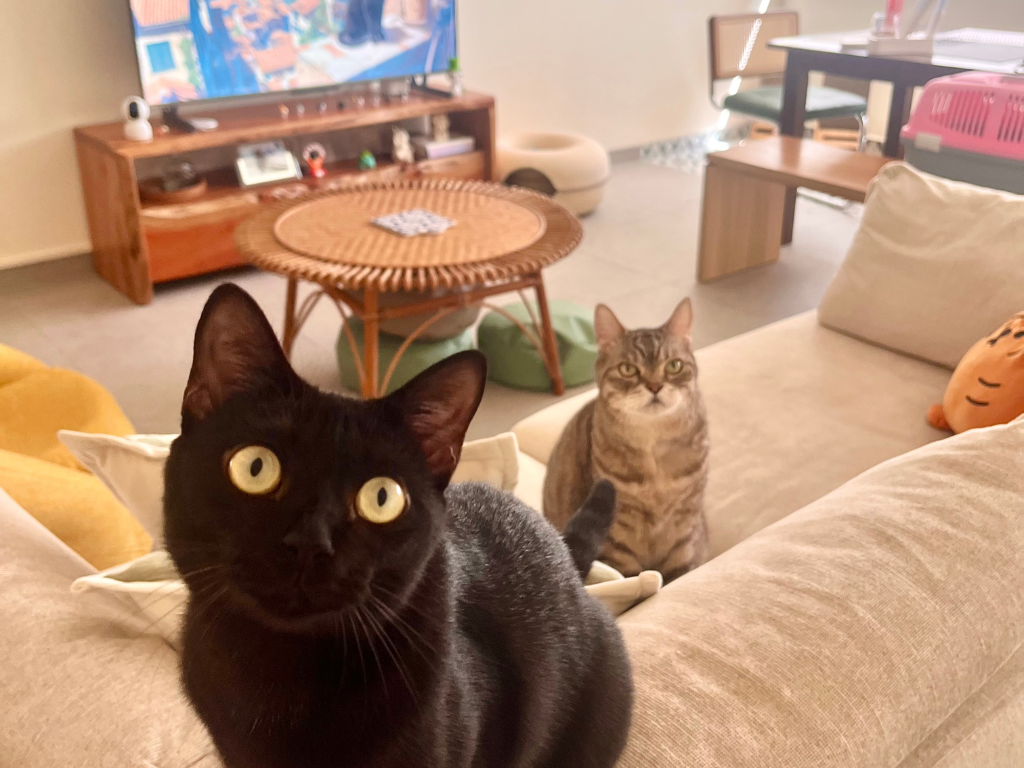 Before & After: Transforming our 38yr old resale HDB