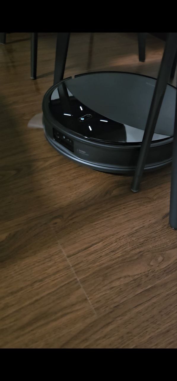 Pet-Friendly Must-Haves for a Tidy Home with Furry Friends!🐾