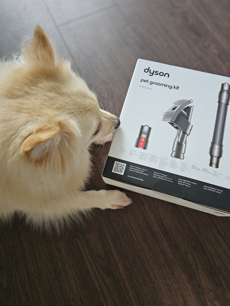 Pet-Friendly Must-Haves for a Tidy Home with Furry Friends!🐾