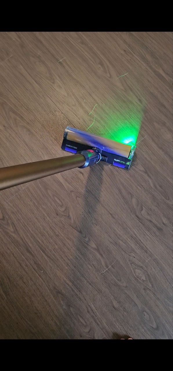 Pet-Friendly Must-Haves for a Tidy Home with Furry Friends!🐾