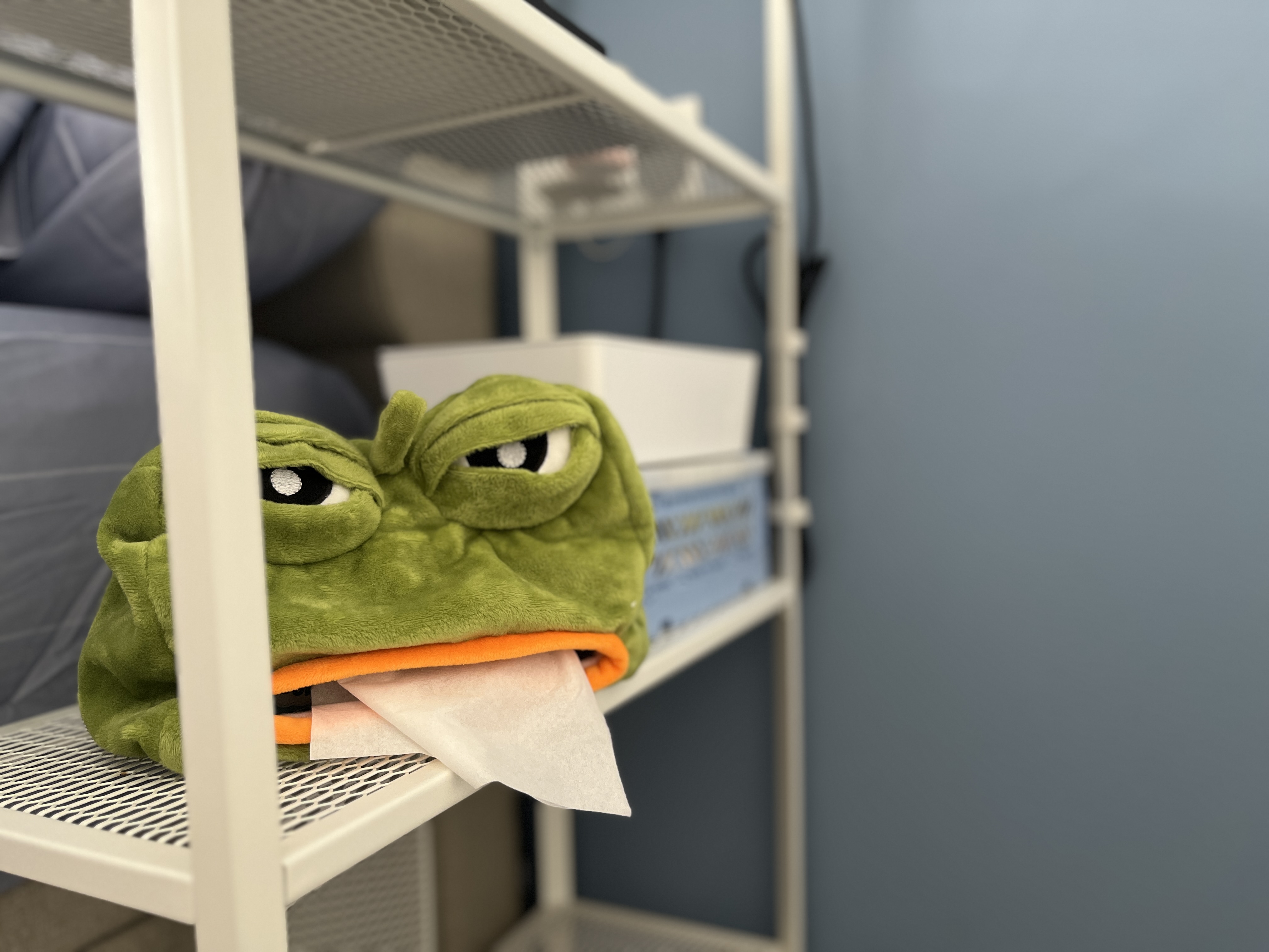 How we maximised our master bedroom storage with ONLY loose furniture!