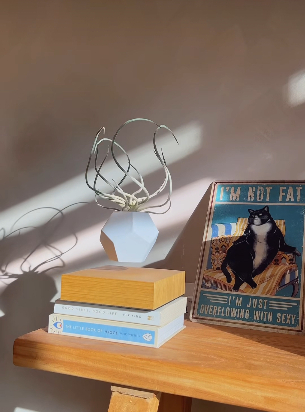 🌱 Real or Fake? Let’s Play a Game! 🌱