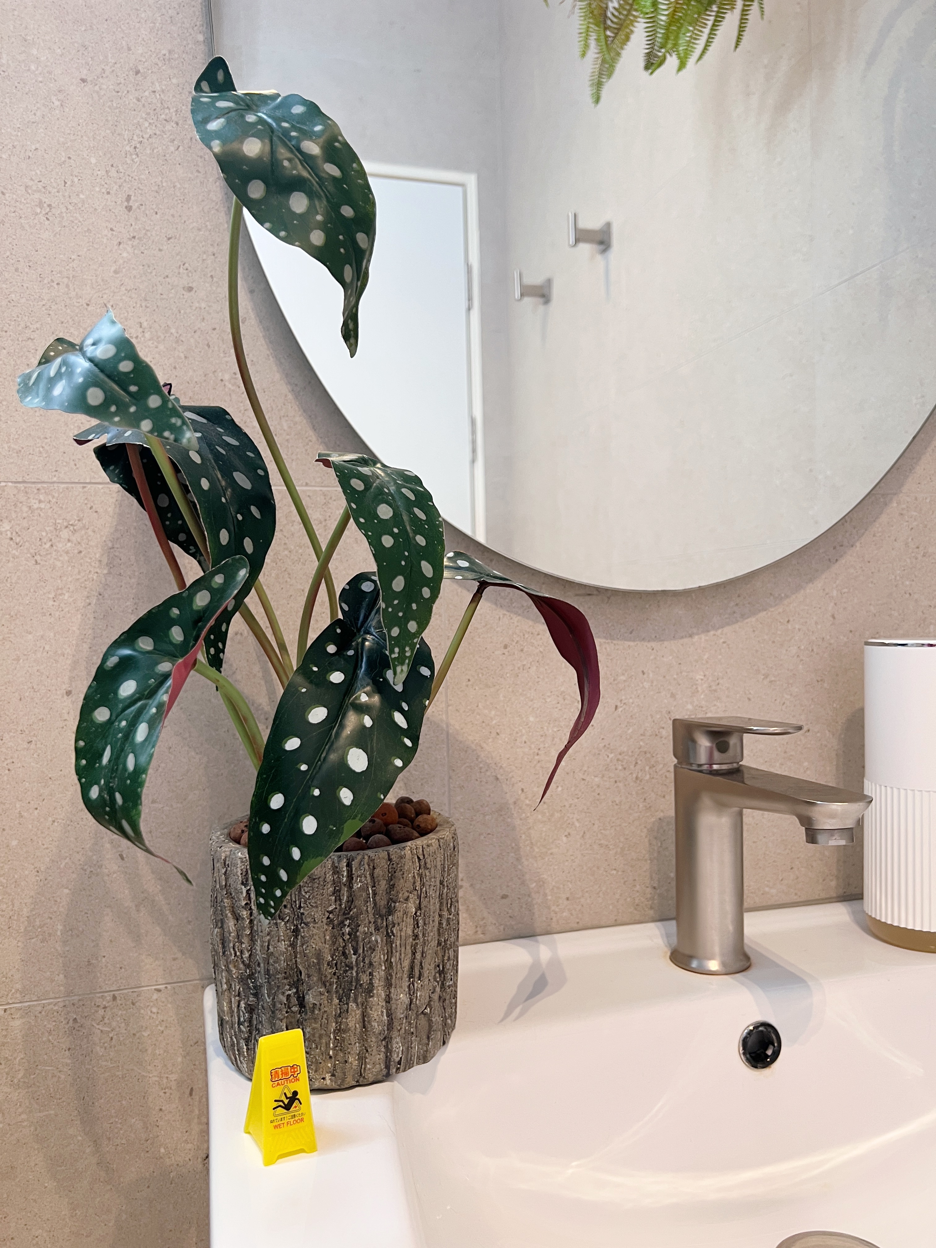 🌱 Real or Fake? Let’s Play a Game! 🌱