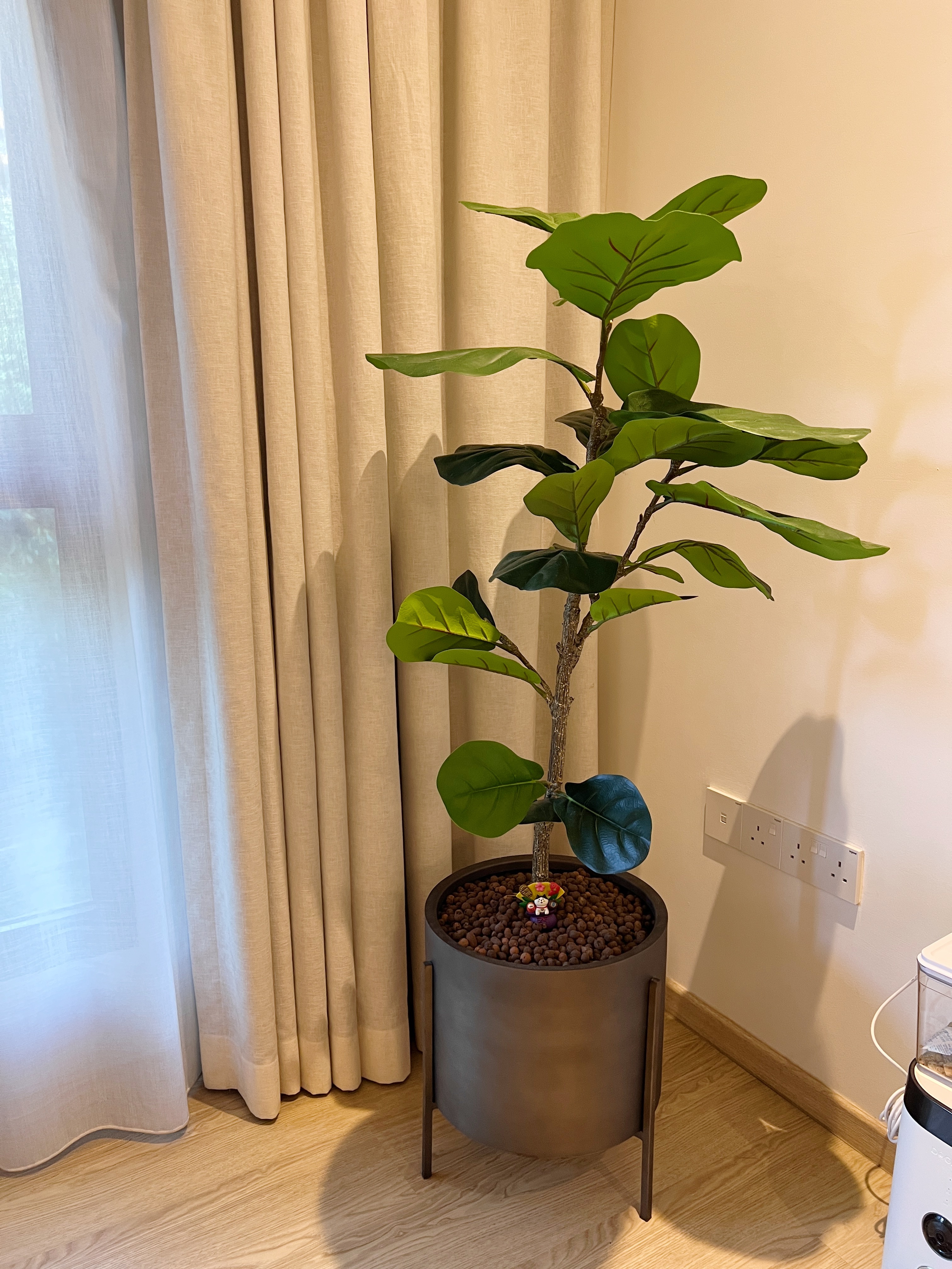 🌱 Real or Fake? Let’s Play a Game! 🌱