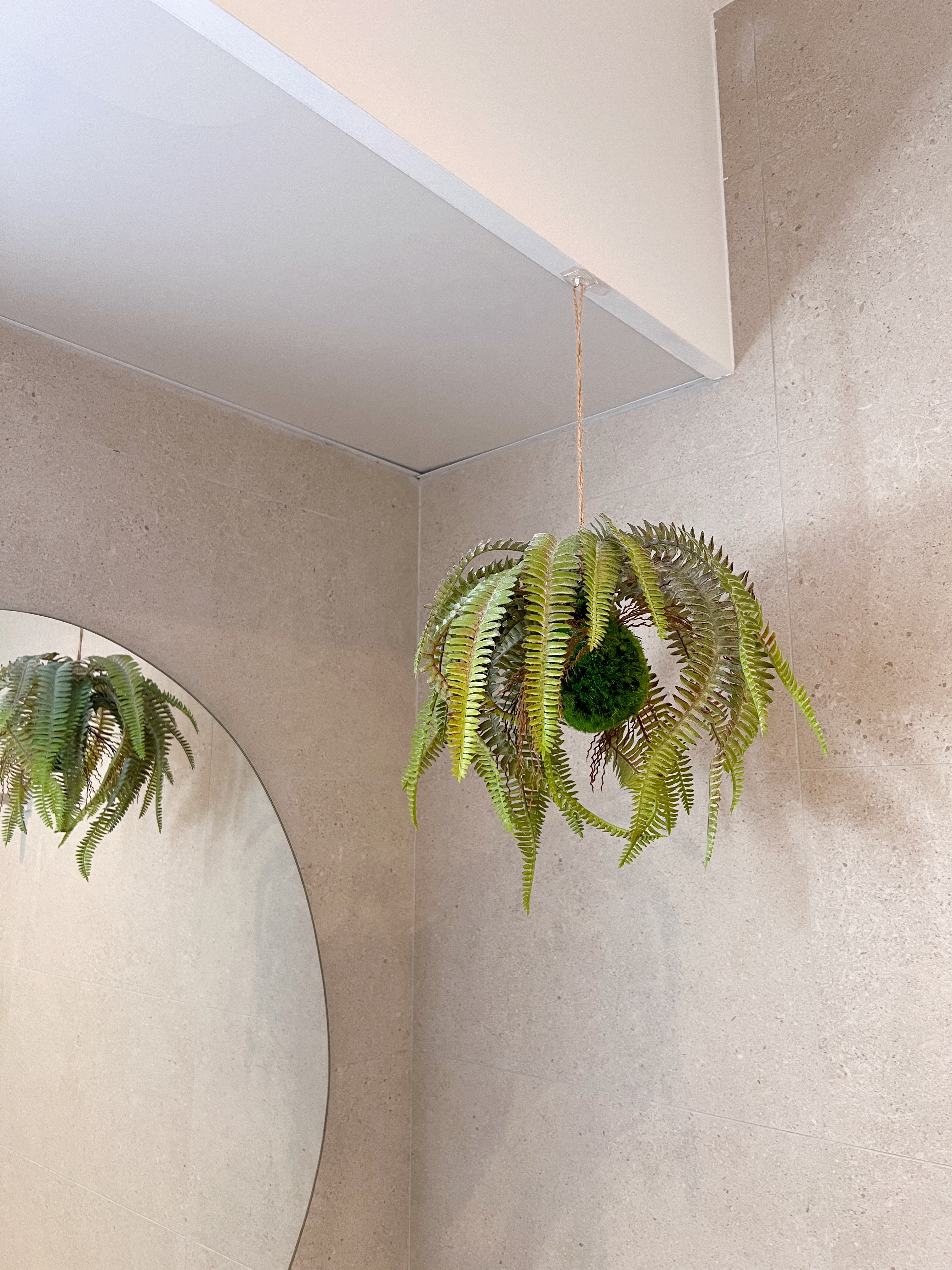 🌱 Real or Fake? Let’s Play a Game! 🌱