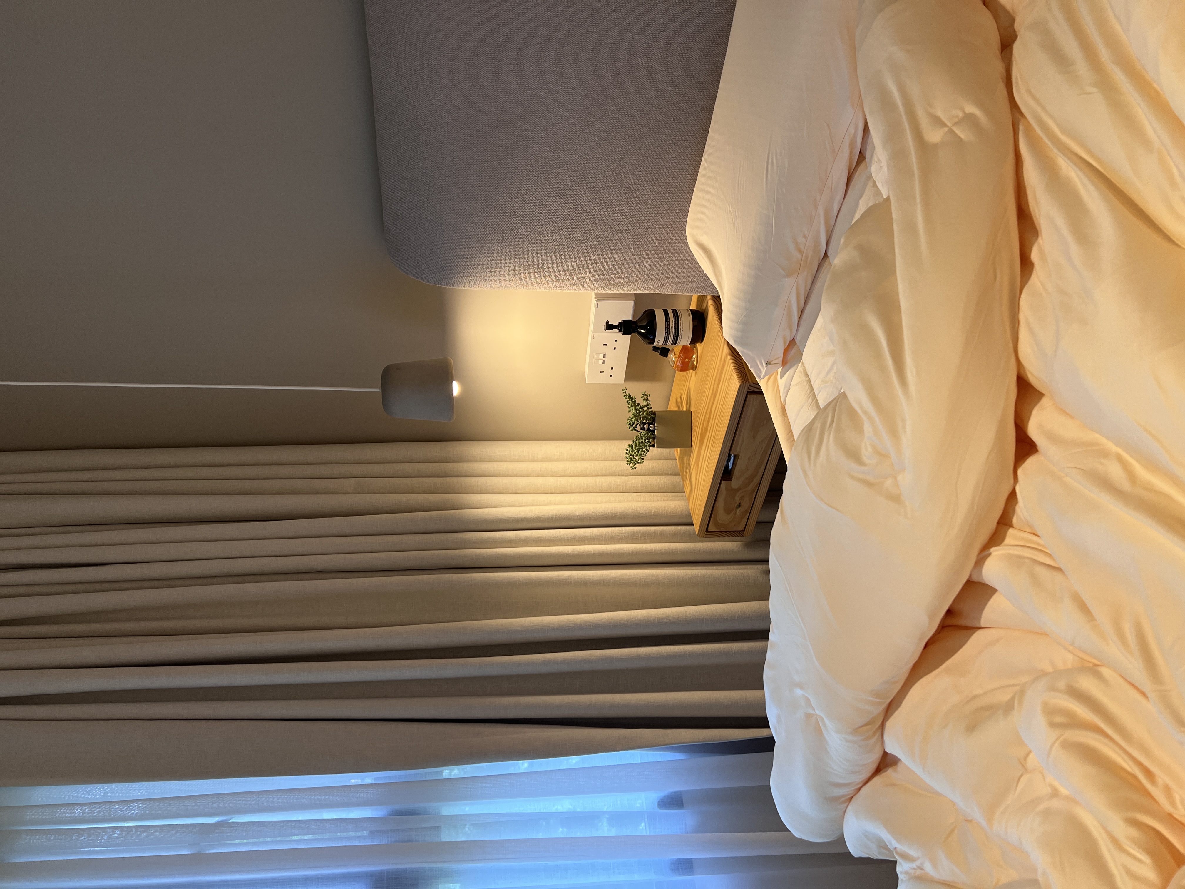 🌱-Real-or-Fake?-Let’s-Play-a-Game!-🌱