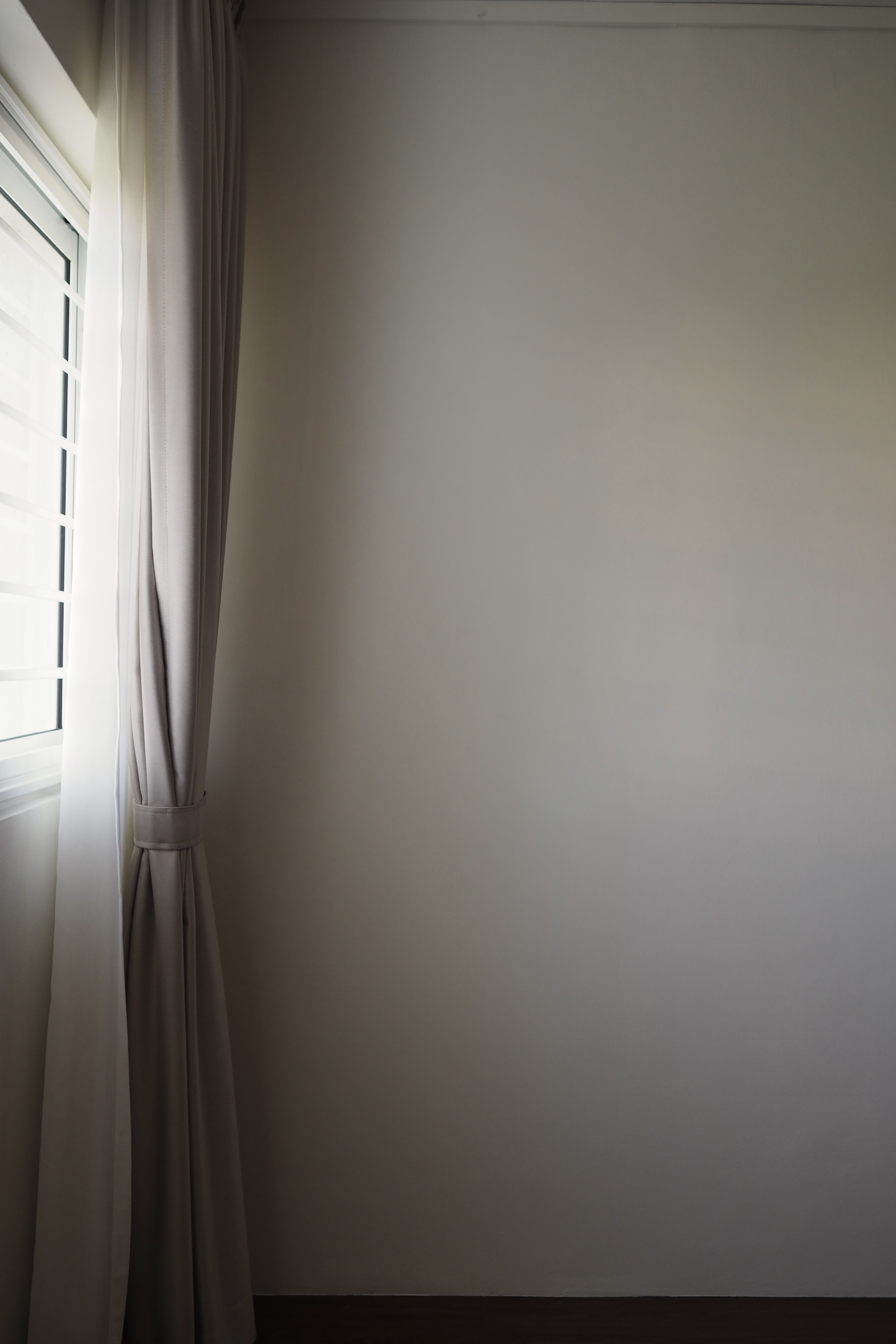 Our entryway has only 2 things!