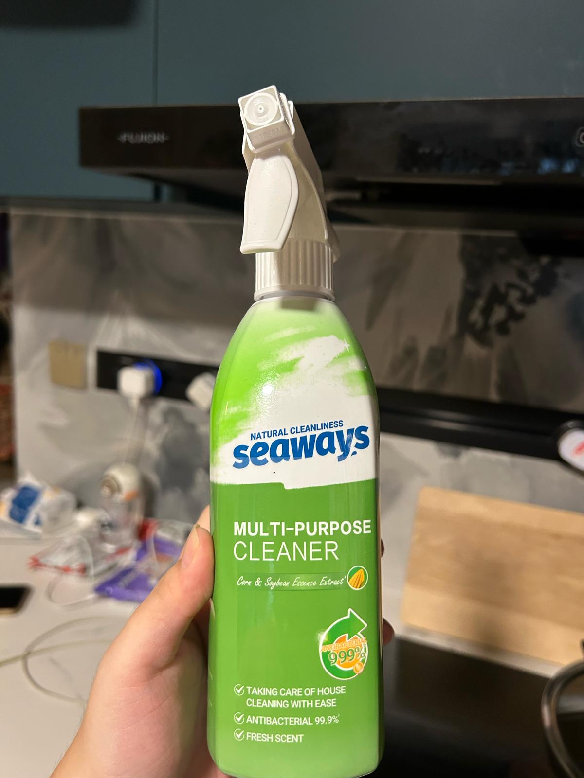 Upkeep & Maintenance of the Home: Essential cleaning supplies