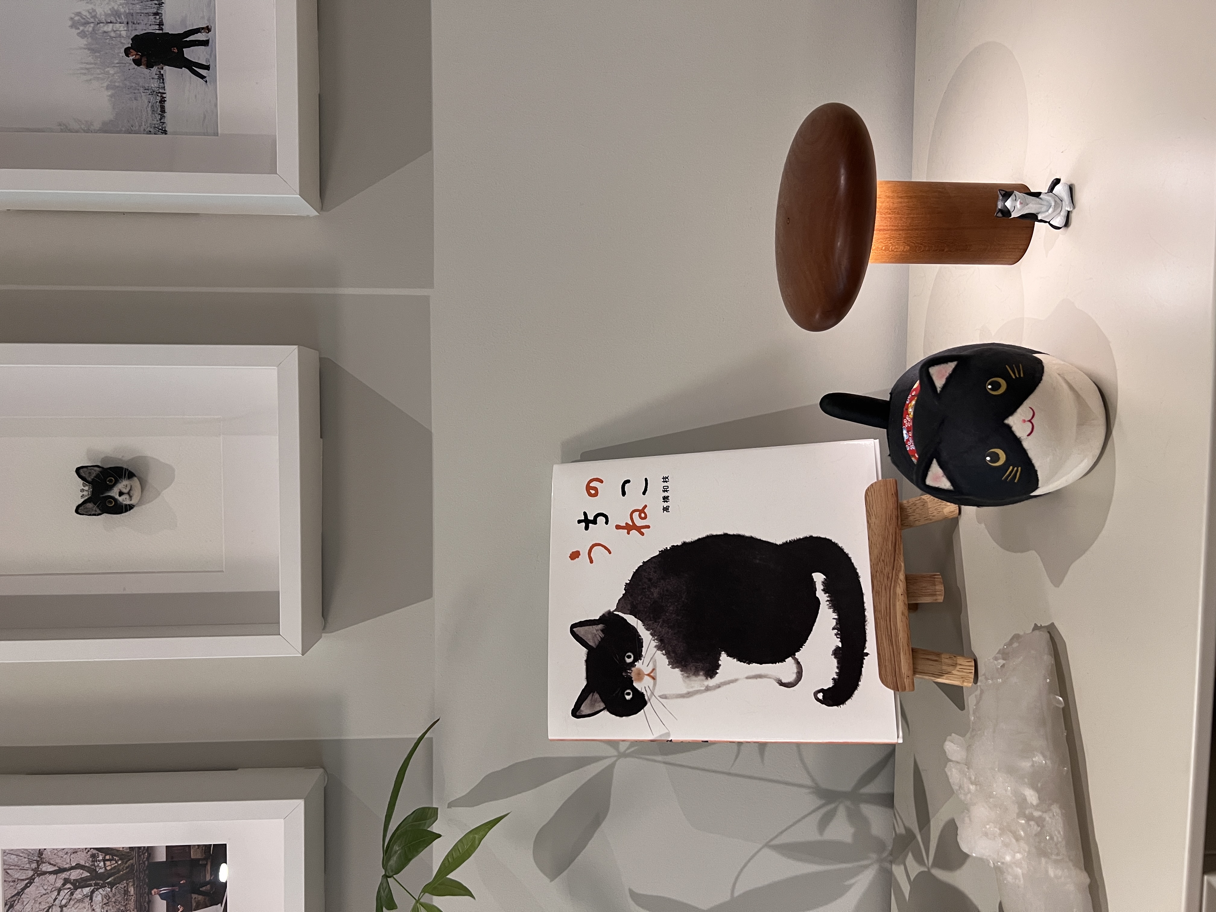 We’re just living in Oreo’s world: Decorating with our cat