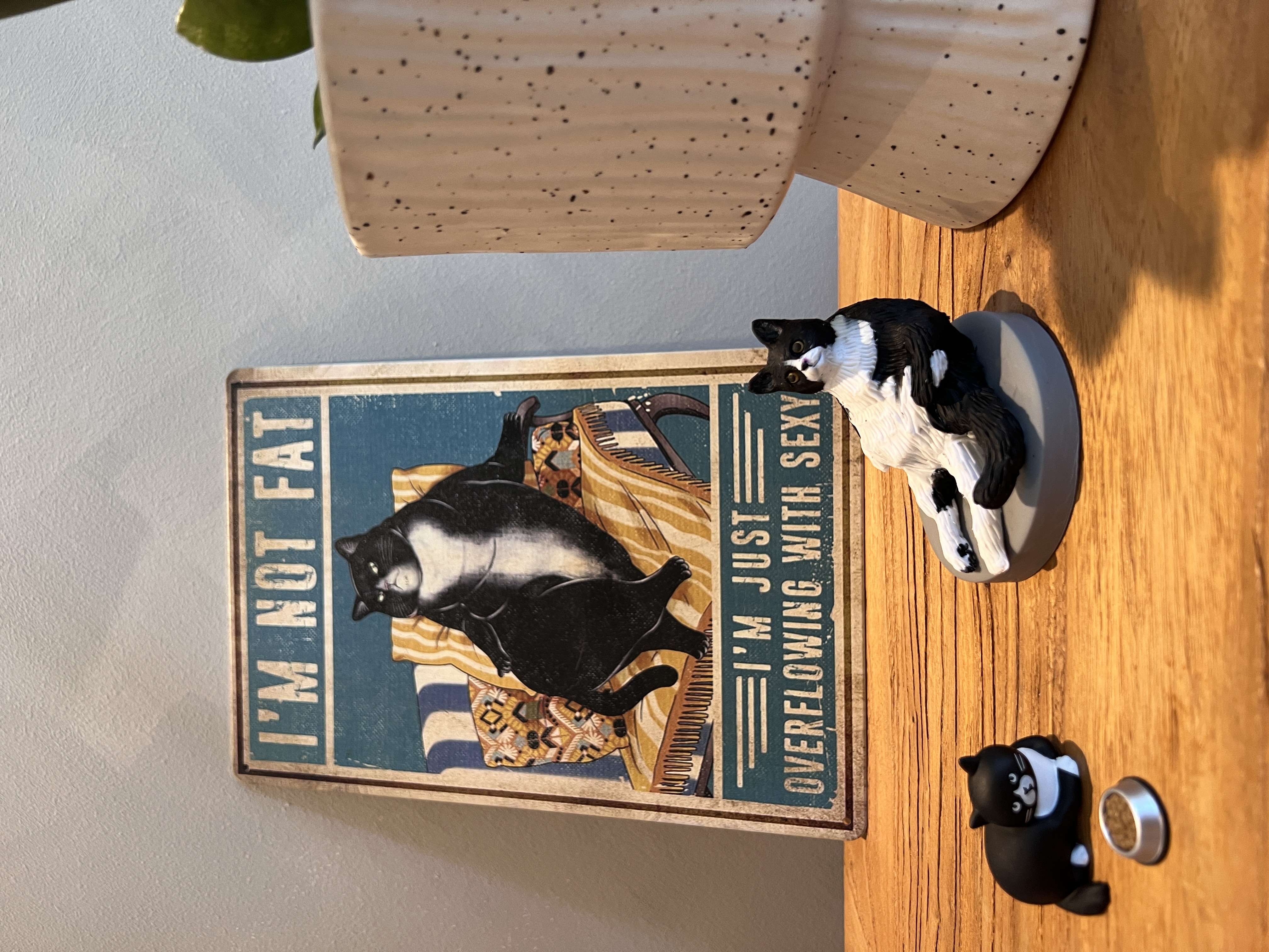 We’re just living in Oreo’s world: Decorating with our cat
