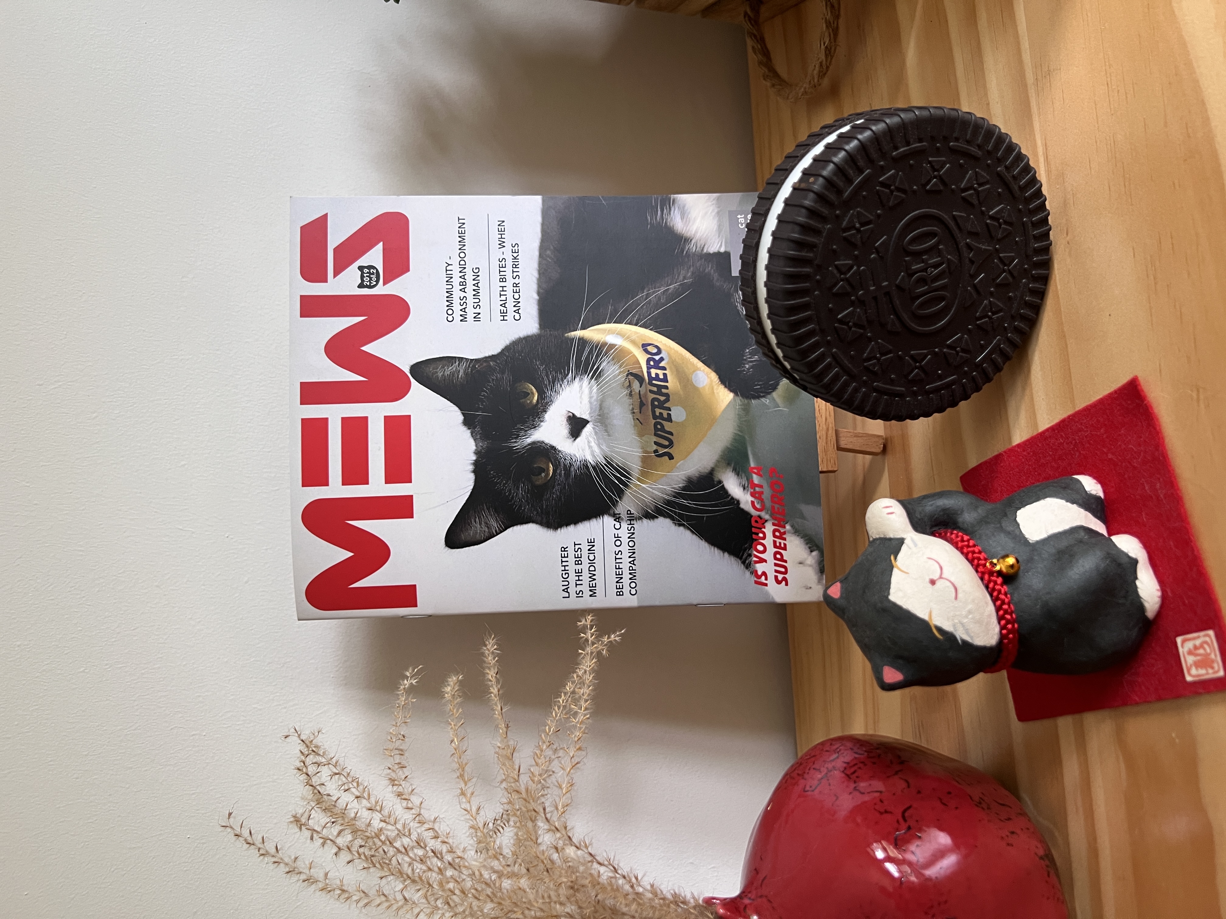 We’re just living in Oreo’s world: Decorating with our cat