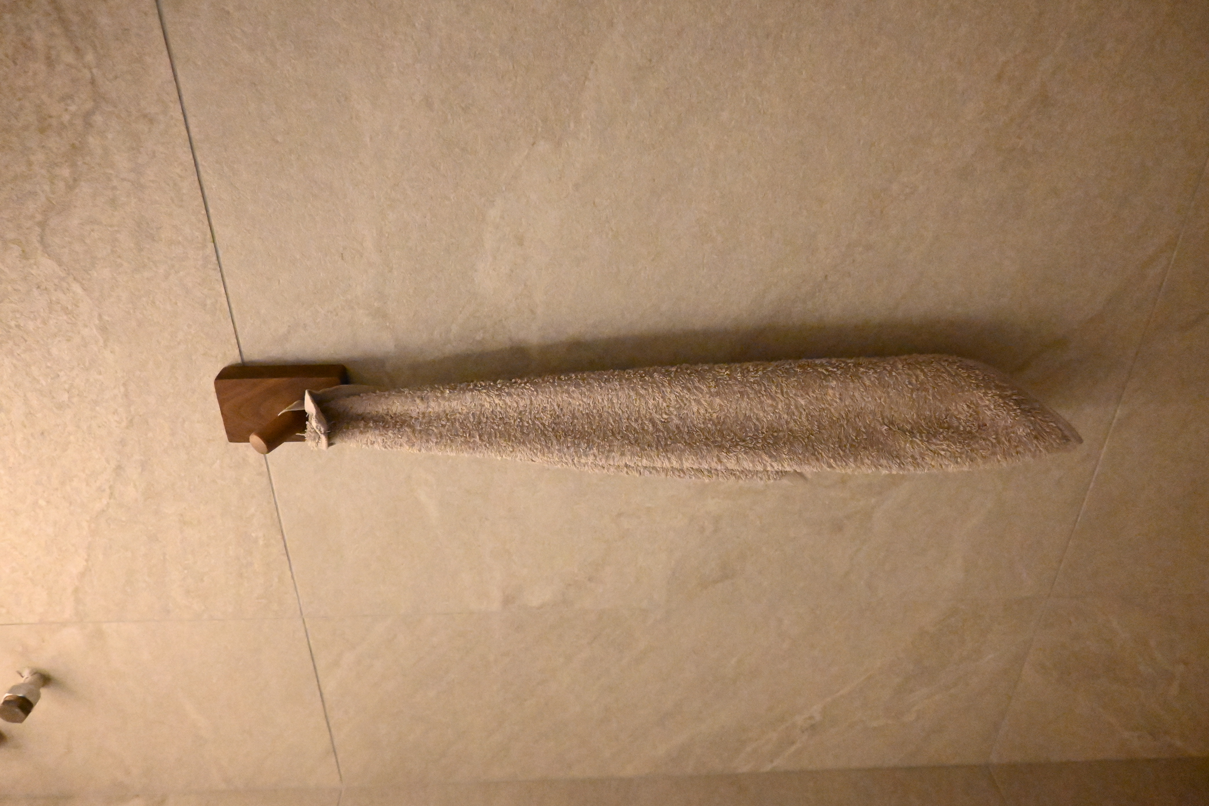 Features of our common bathroom that we like
