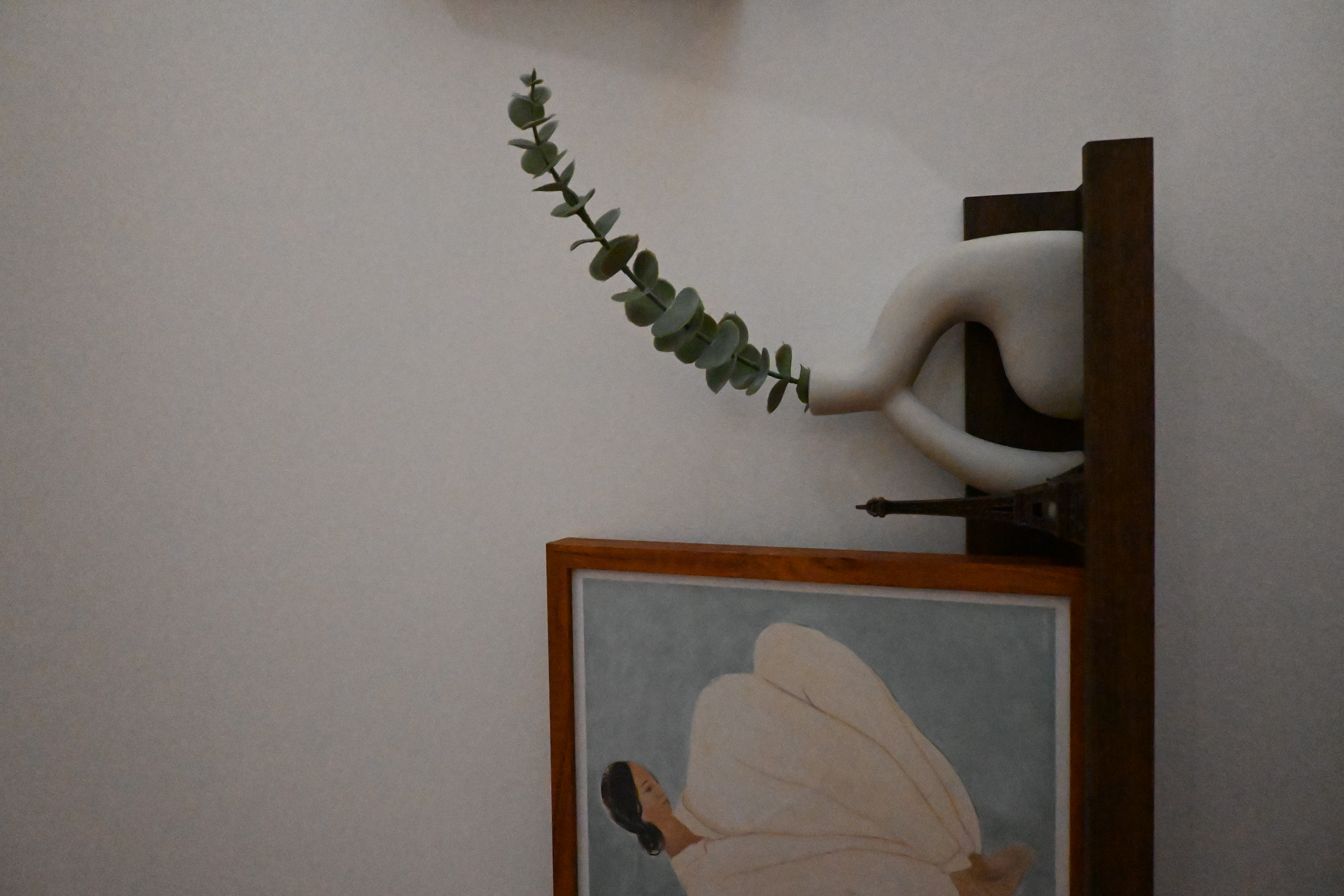 Plants in our house!