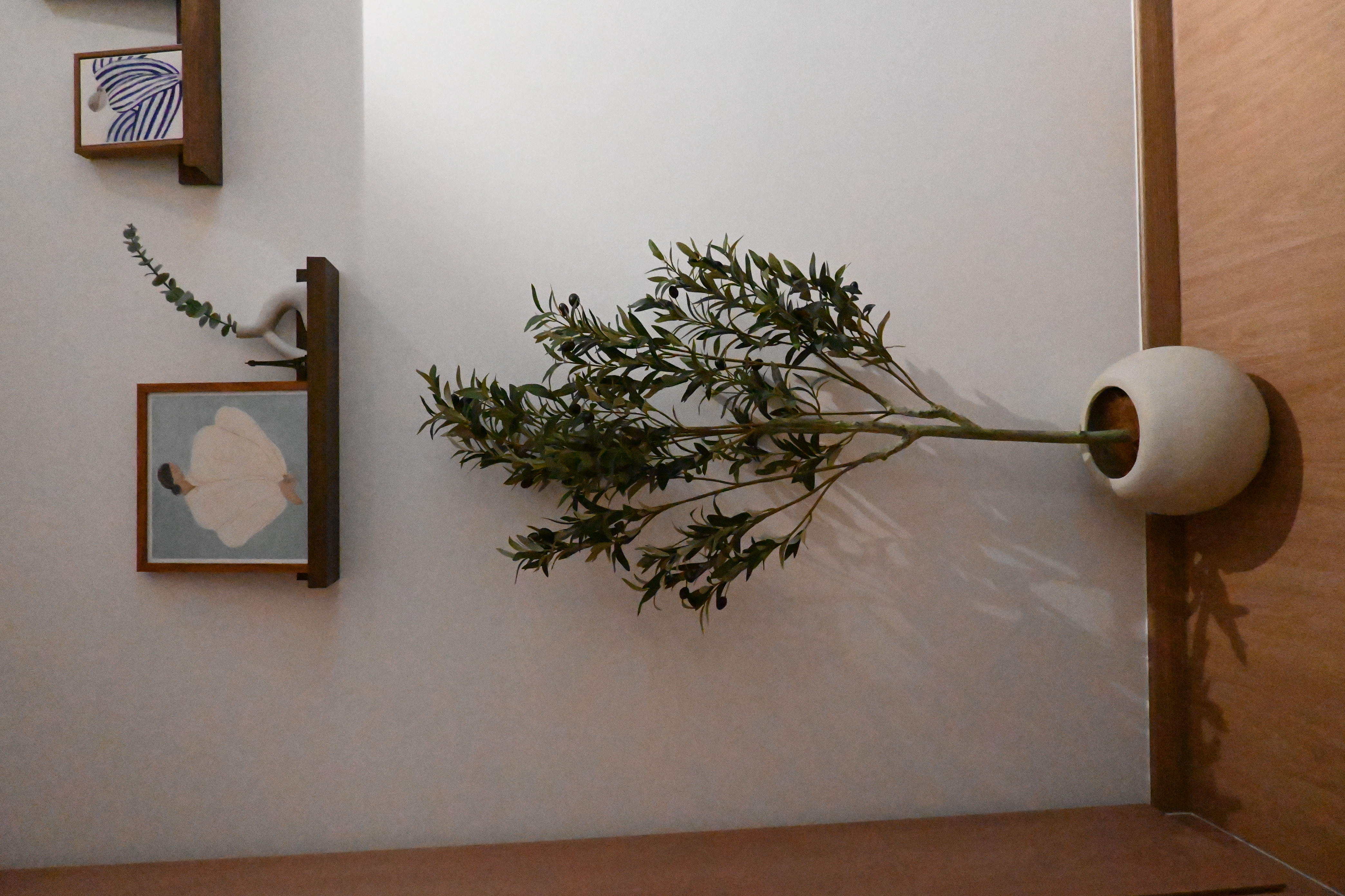 Plants in our house!