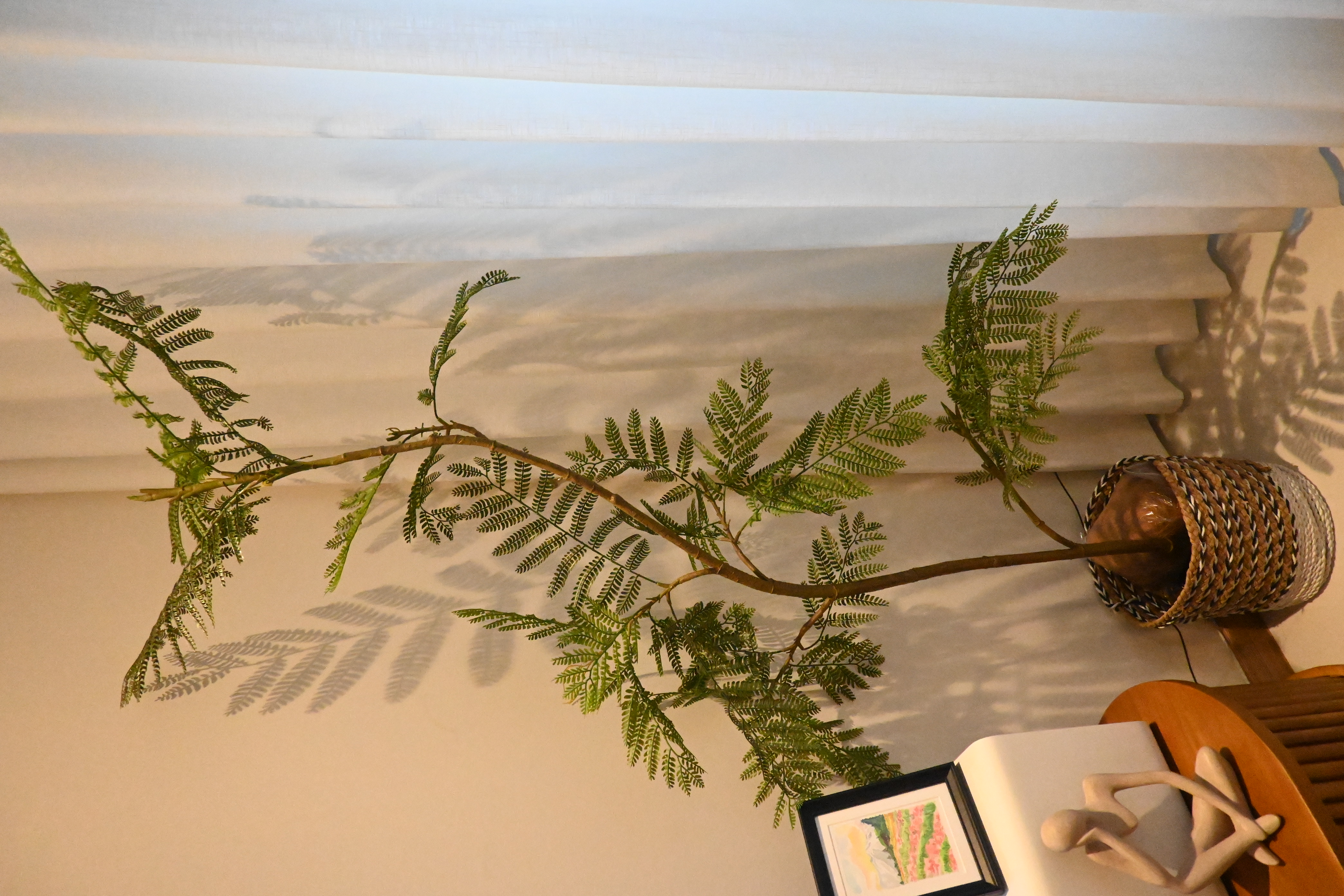 Plants in our house!