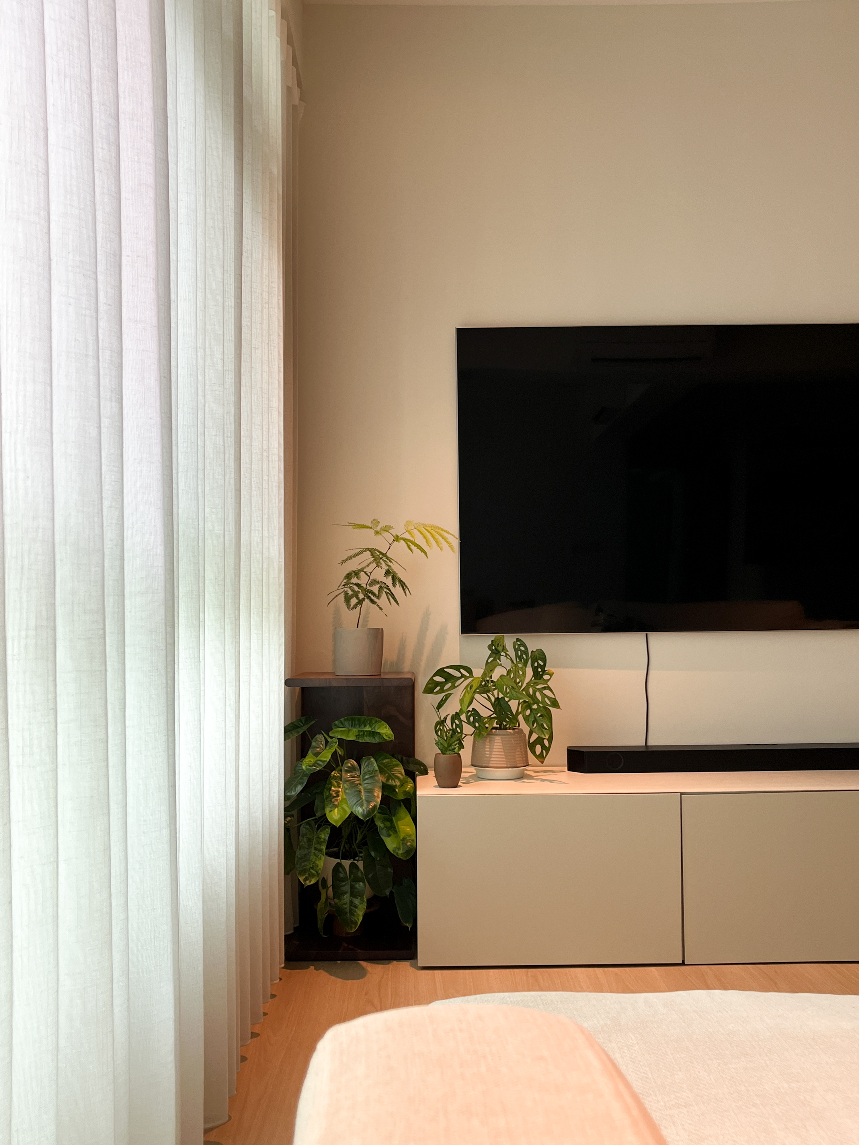 My-Plant-Corner-🪴🌳🌱