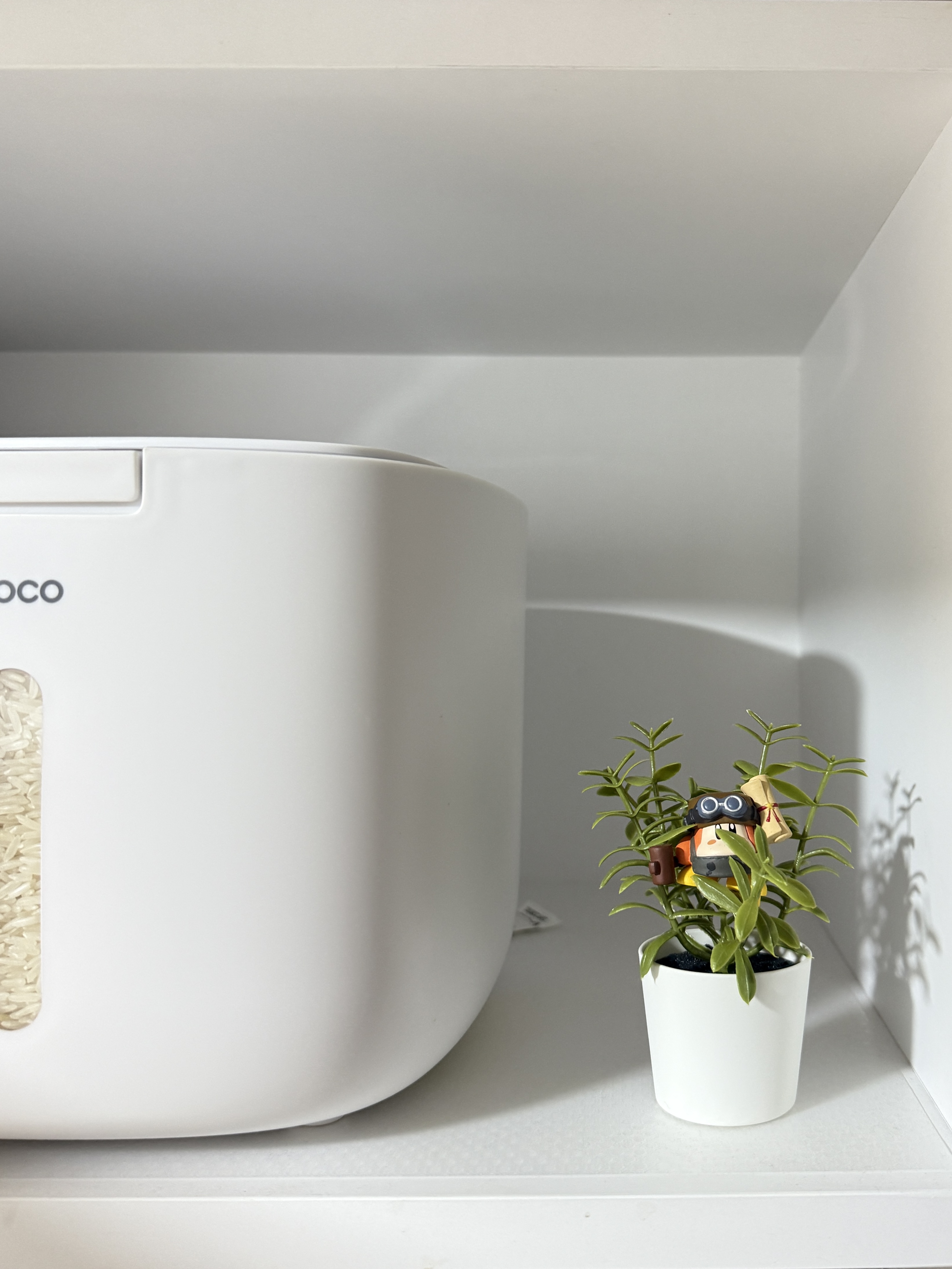 Green Corner: Decorating Our Home with Faux Plants