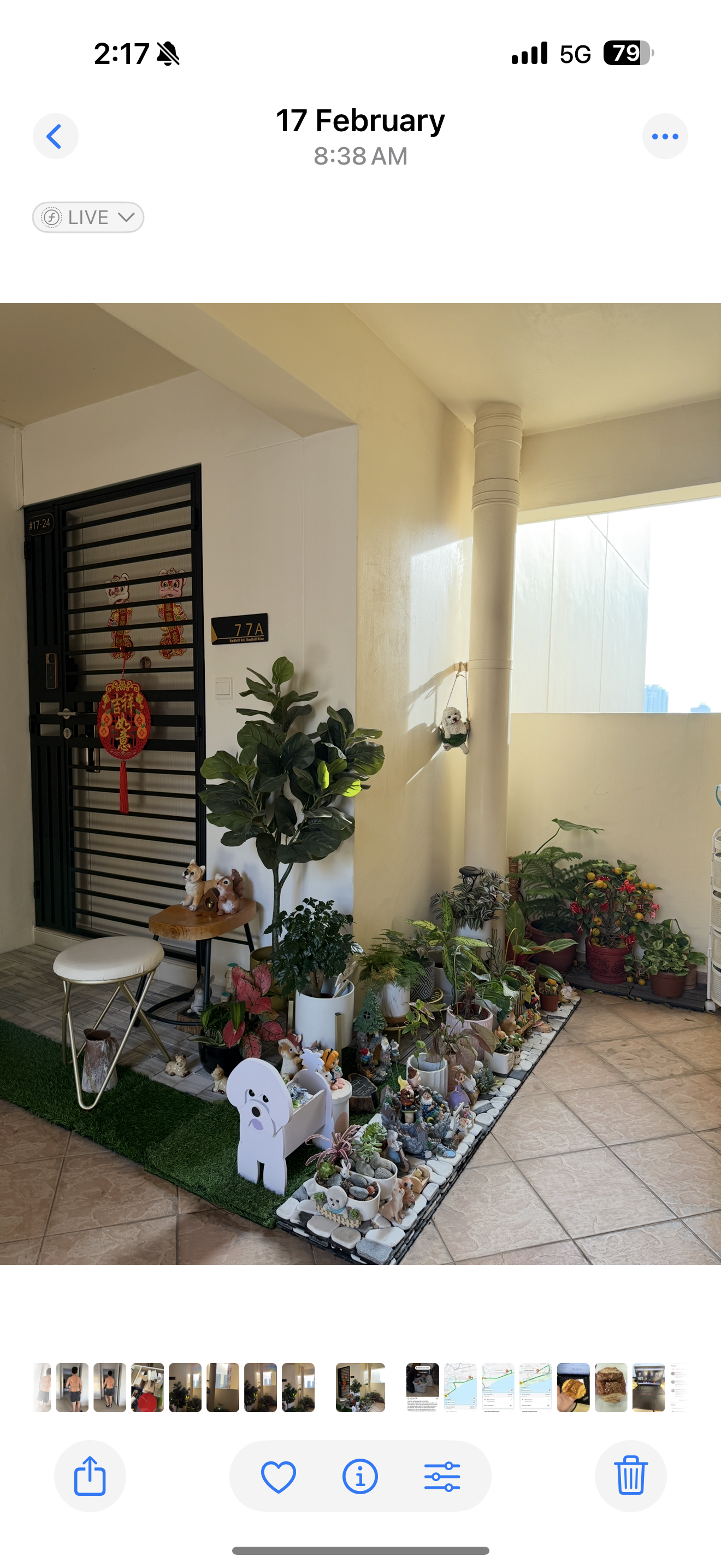 Our (Not So) Secret Garden in the City