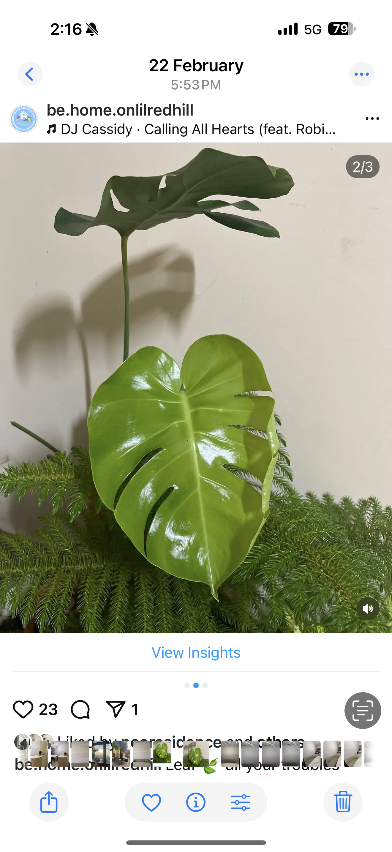 Our (Not So) Secret Garden in the City