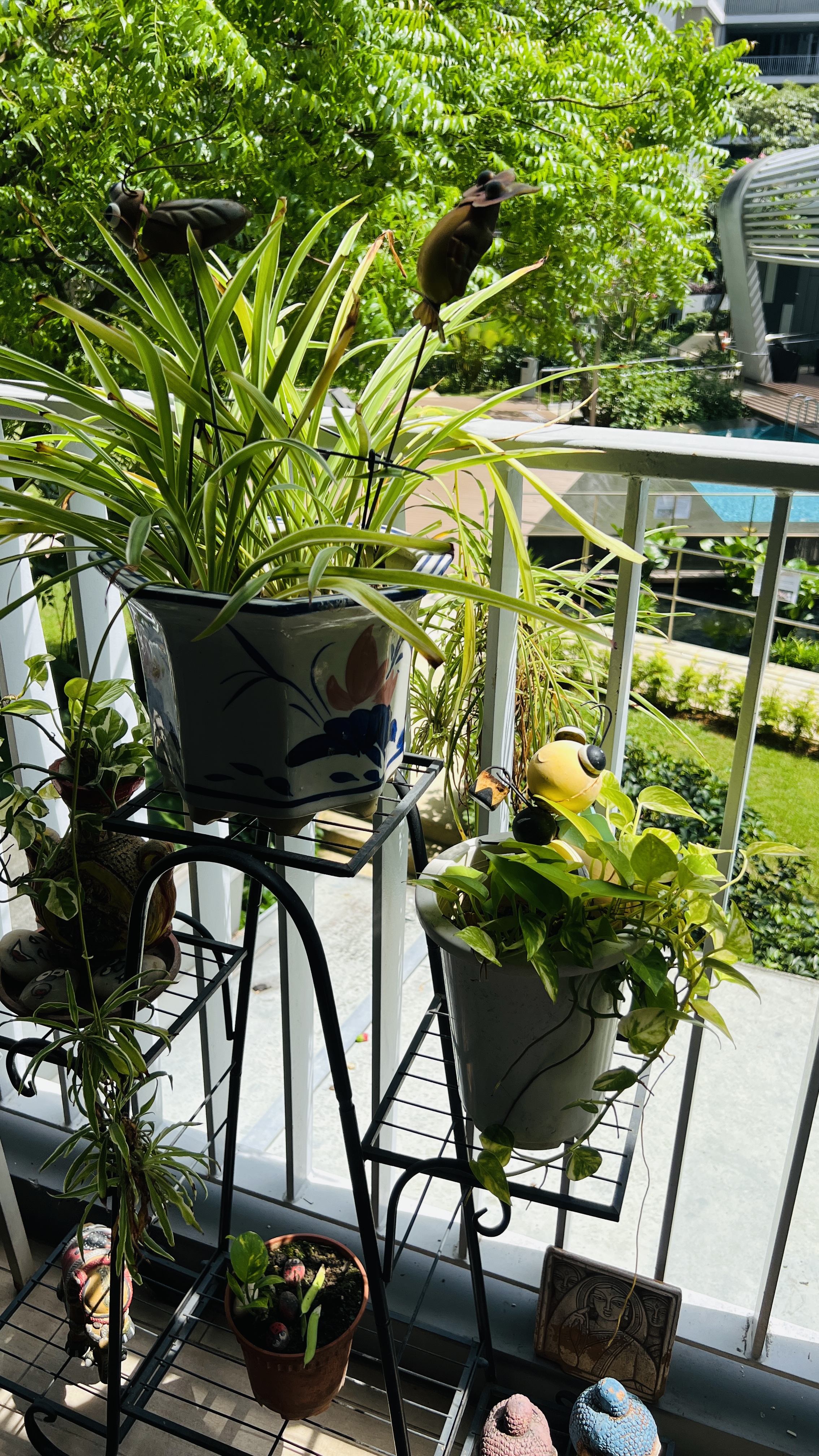 My cosy balcony . Love is in the air, and on my balcony