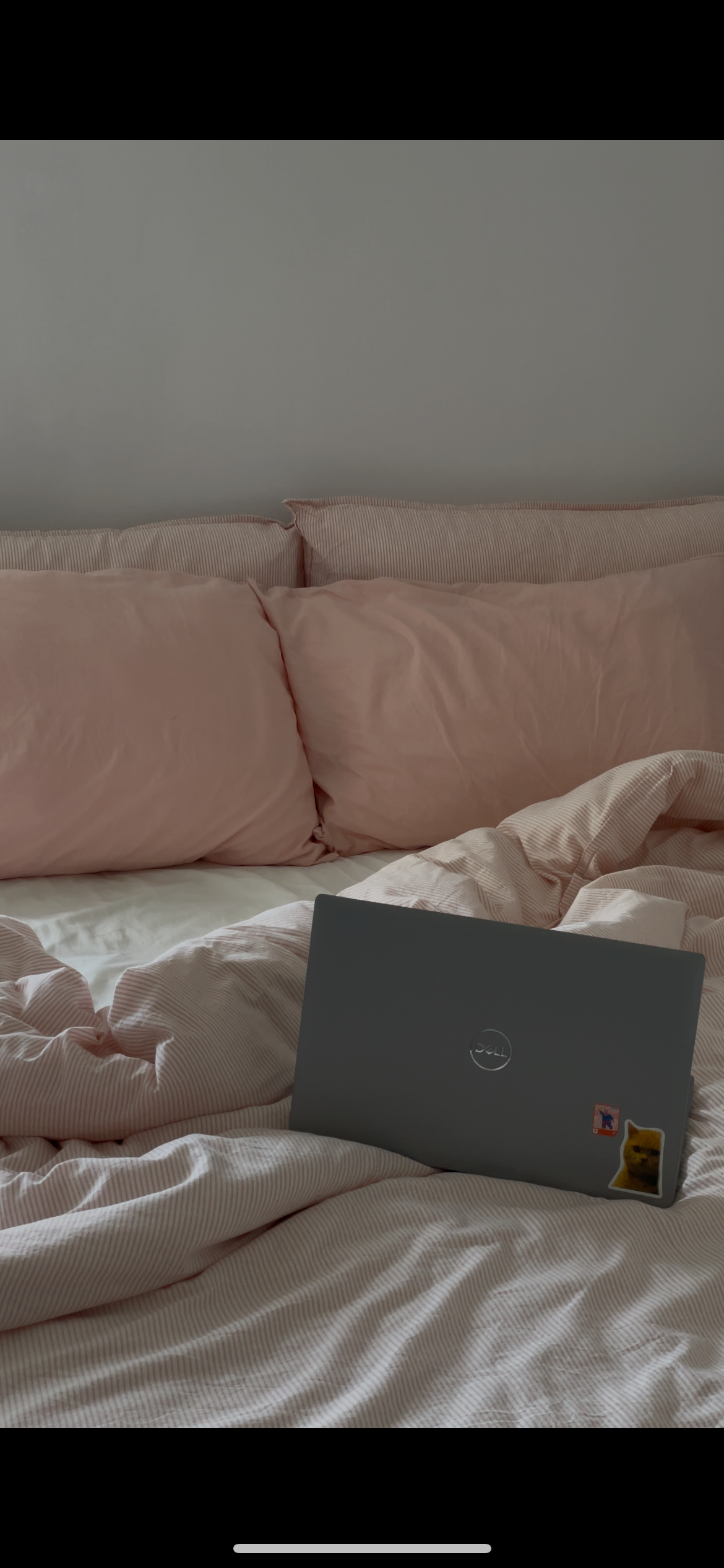 A Lived-in Home is the Best Home 🏠