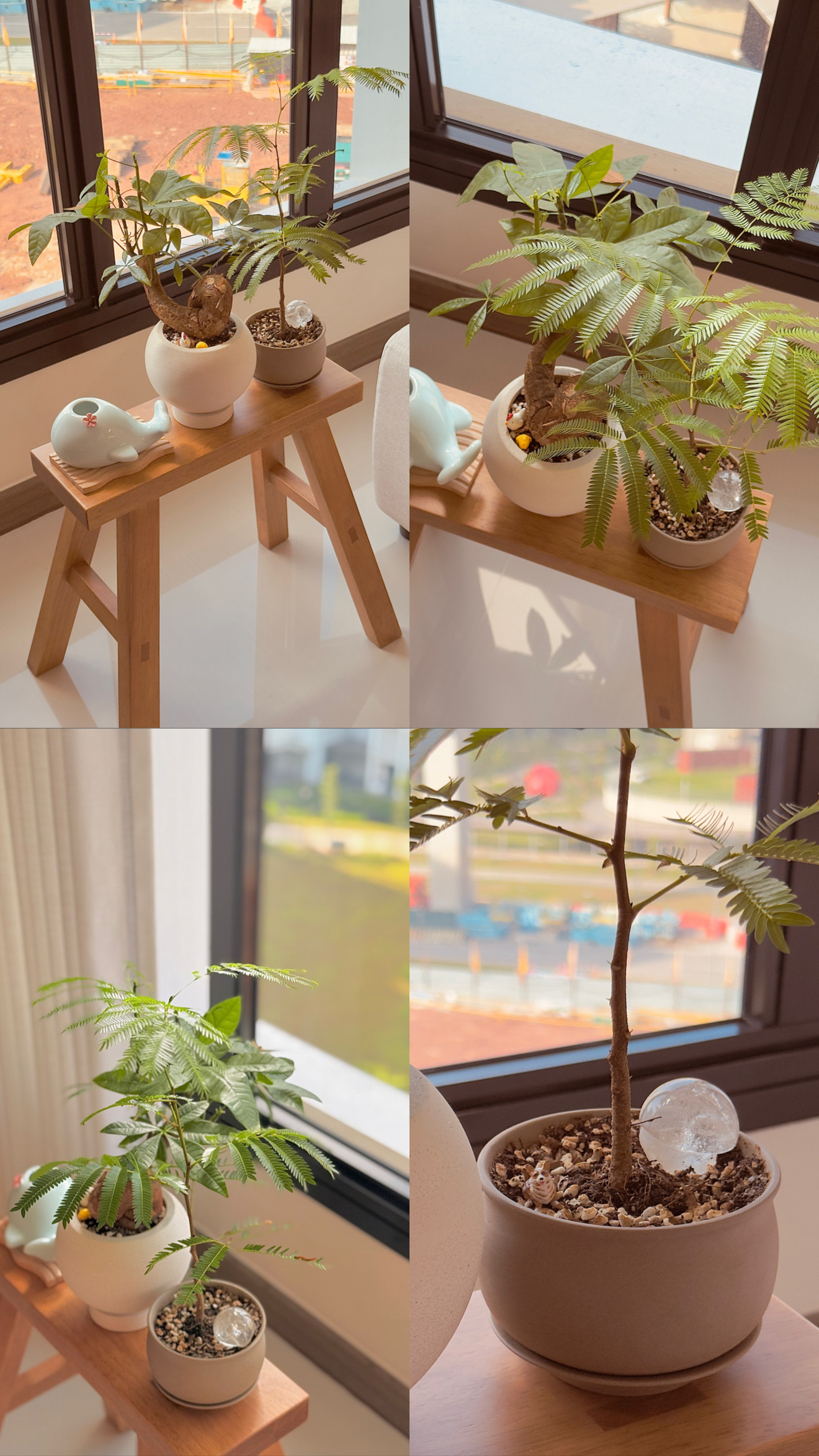All our plant corners - Fengshui and styling with plants!