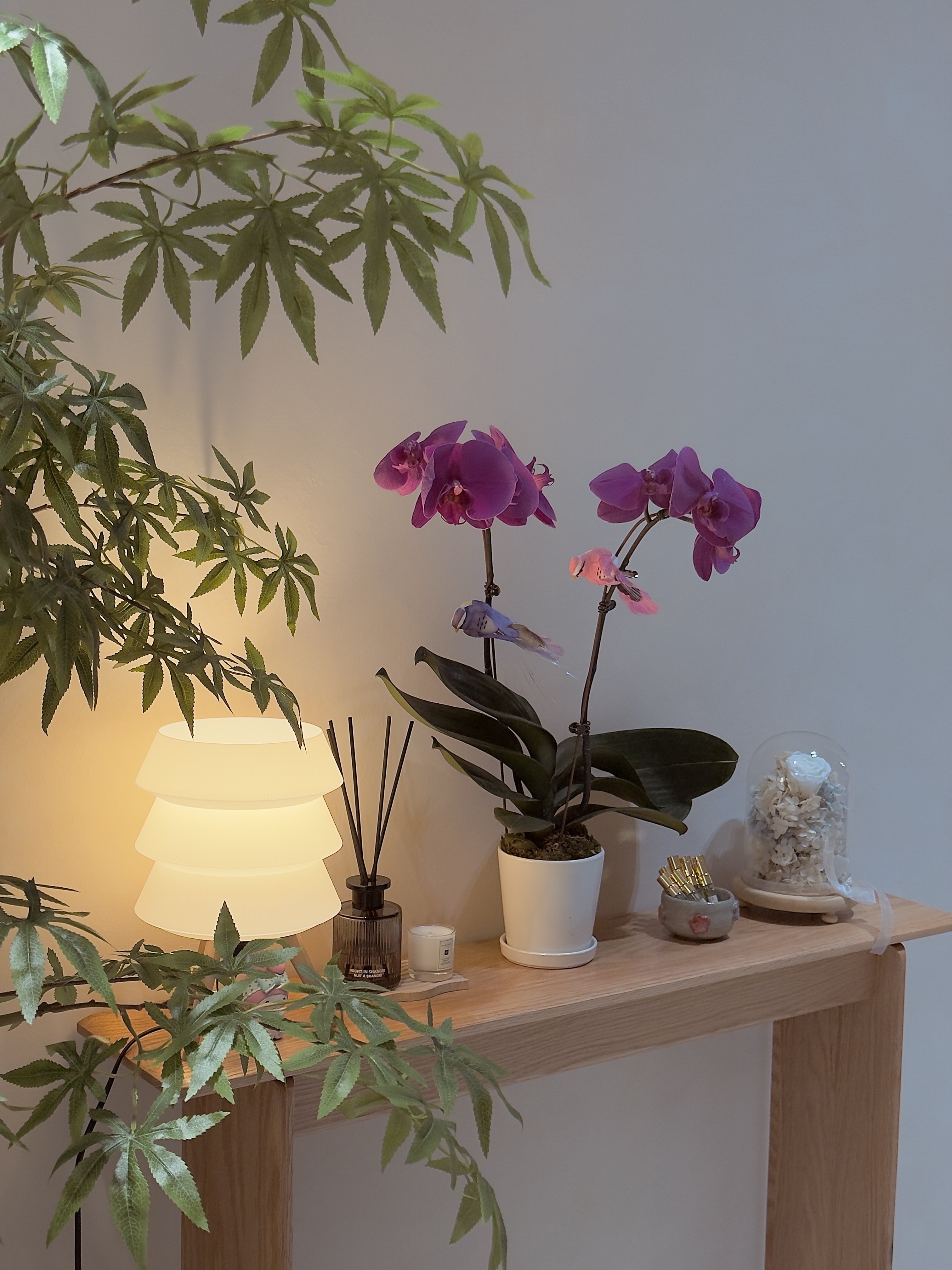 All our plant corners - Fengshui and styling with plants!