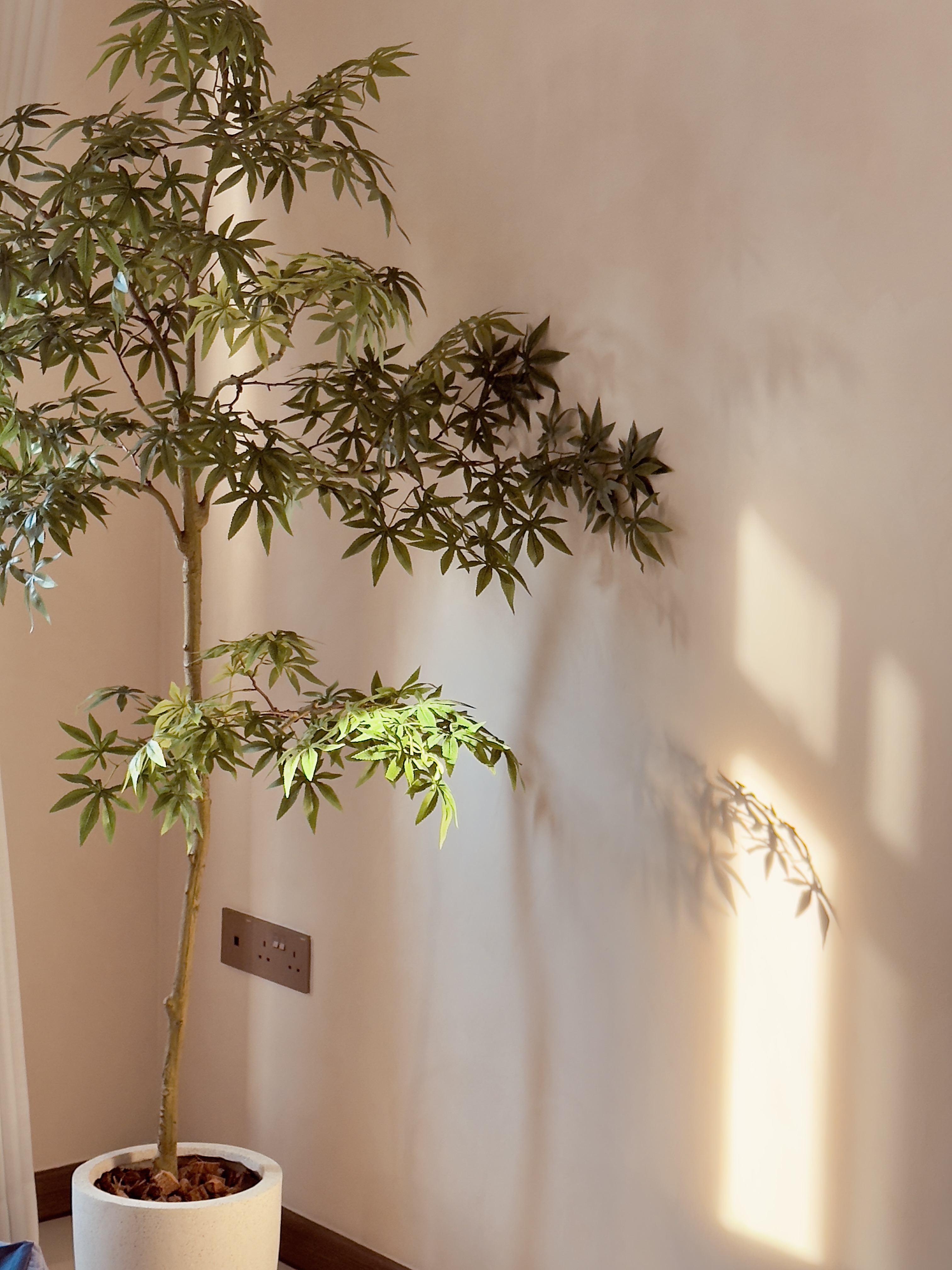 All our plant corners - Fengshui and styling with plants!