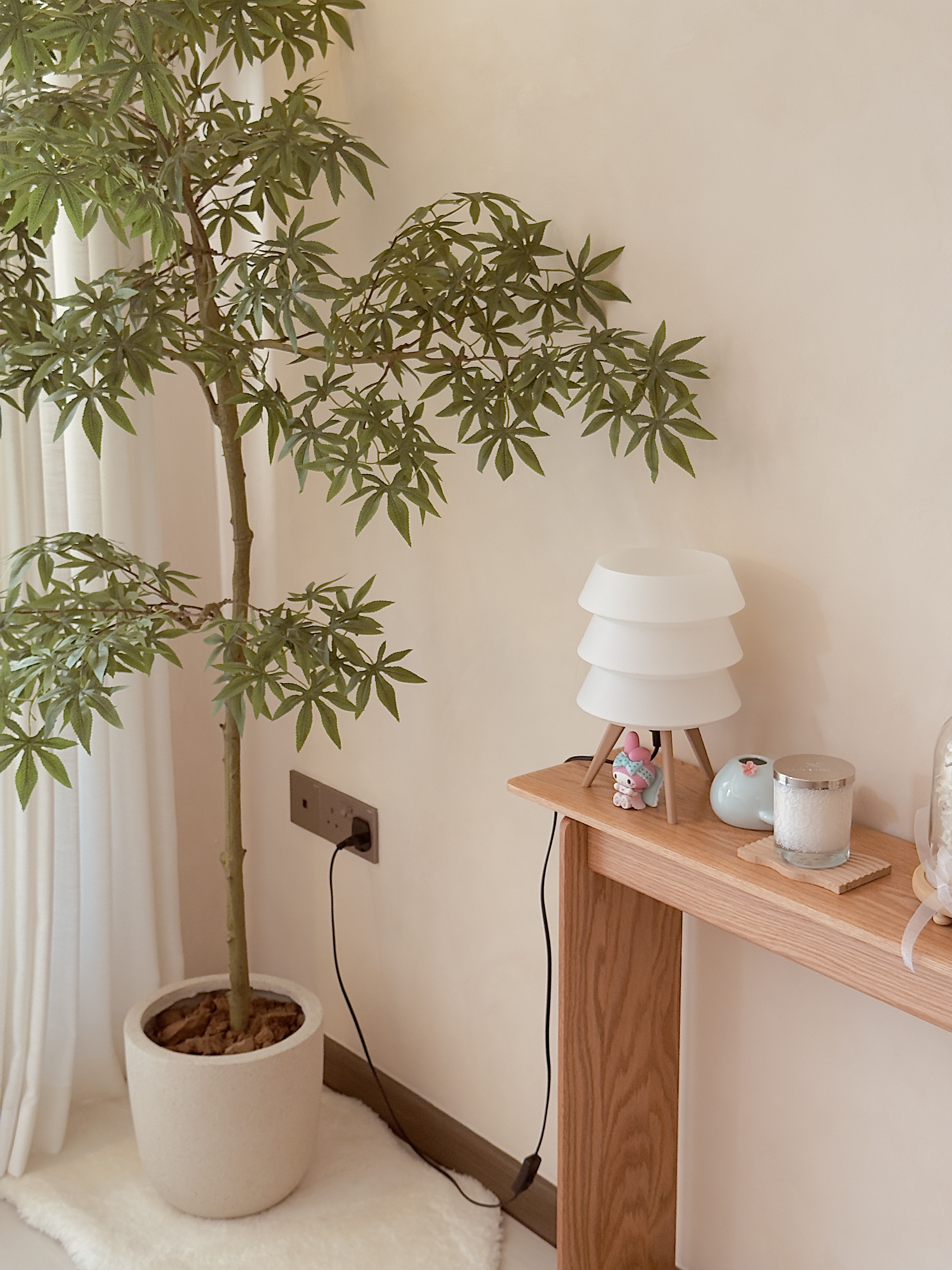 All-our-plant-corners---Fengshui-and-styling-with-plants!