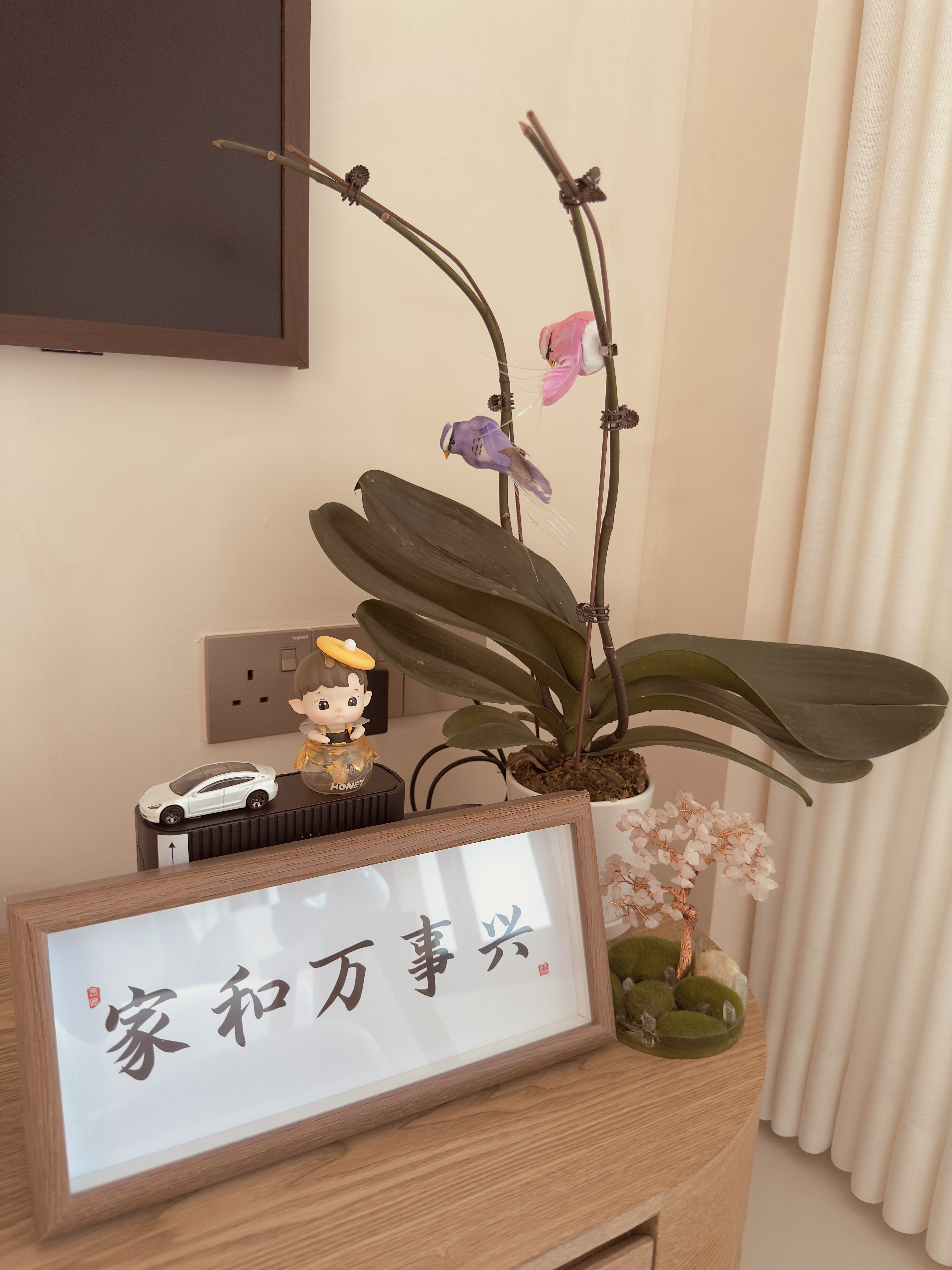 All our plant corners - Fengshui and styling with plants!