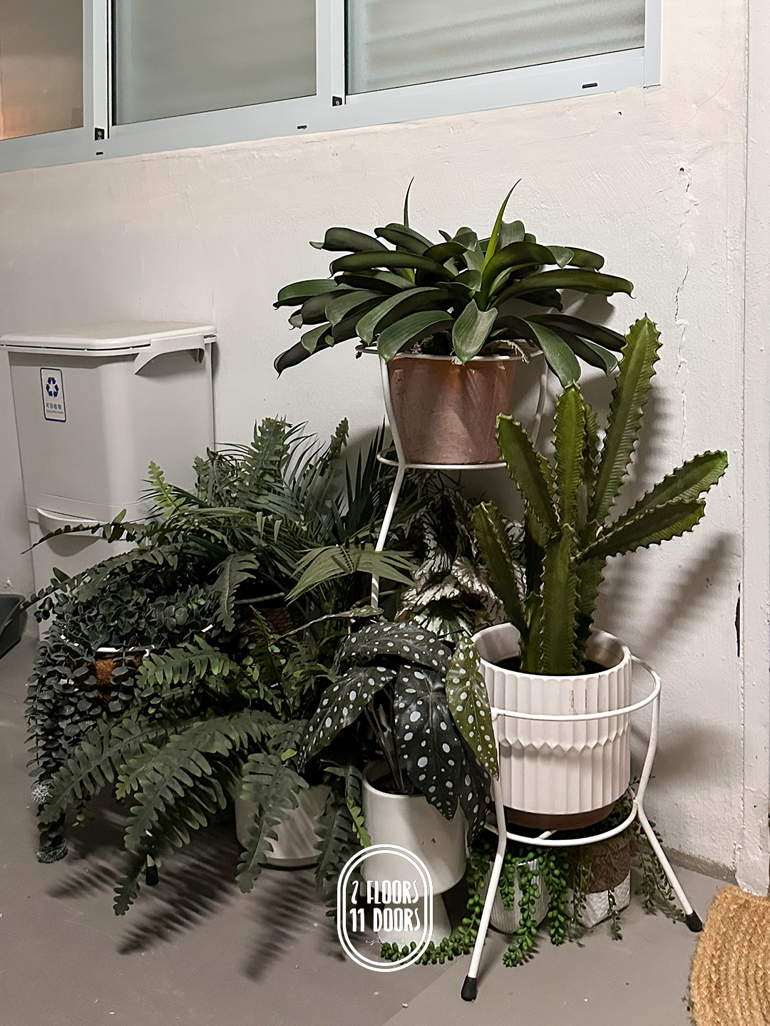 Festive Faux-rest: Our Hari Raya Tree and Its Plant Pals!