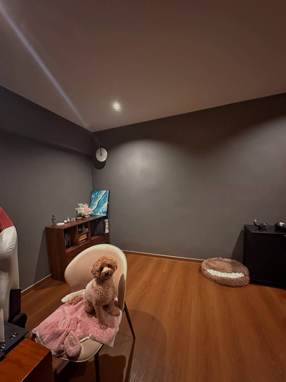 Walnut & Noir: The Perfect Study Haven