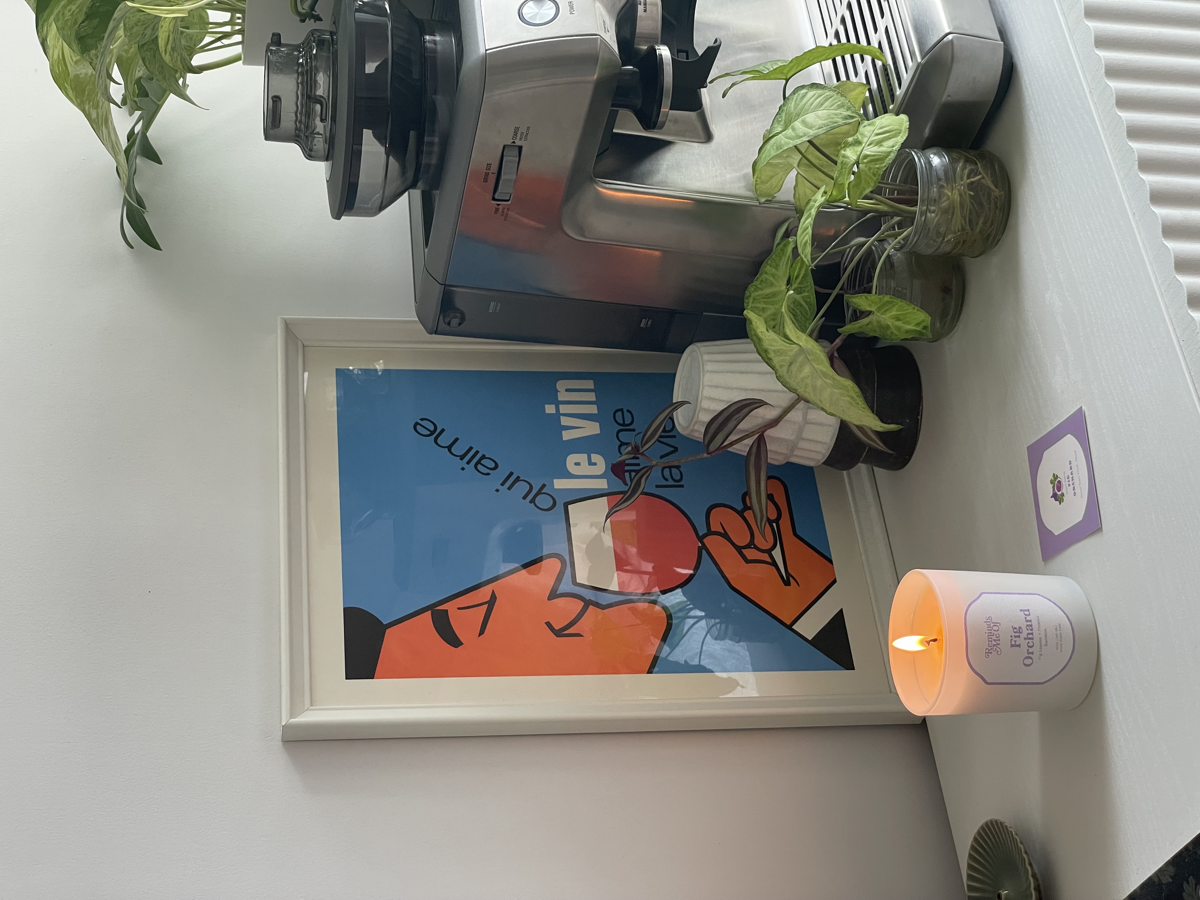 Easy Styling With Plants 🌿