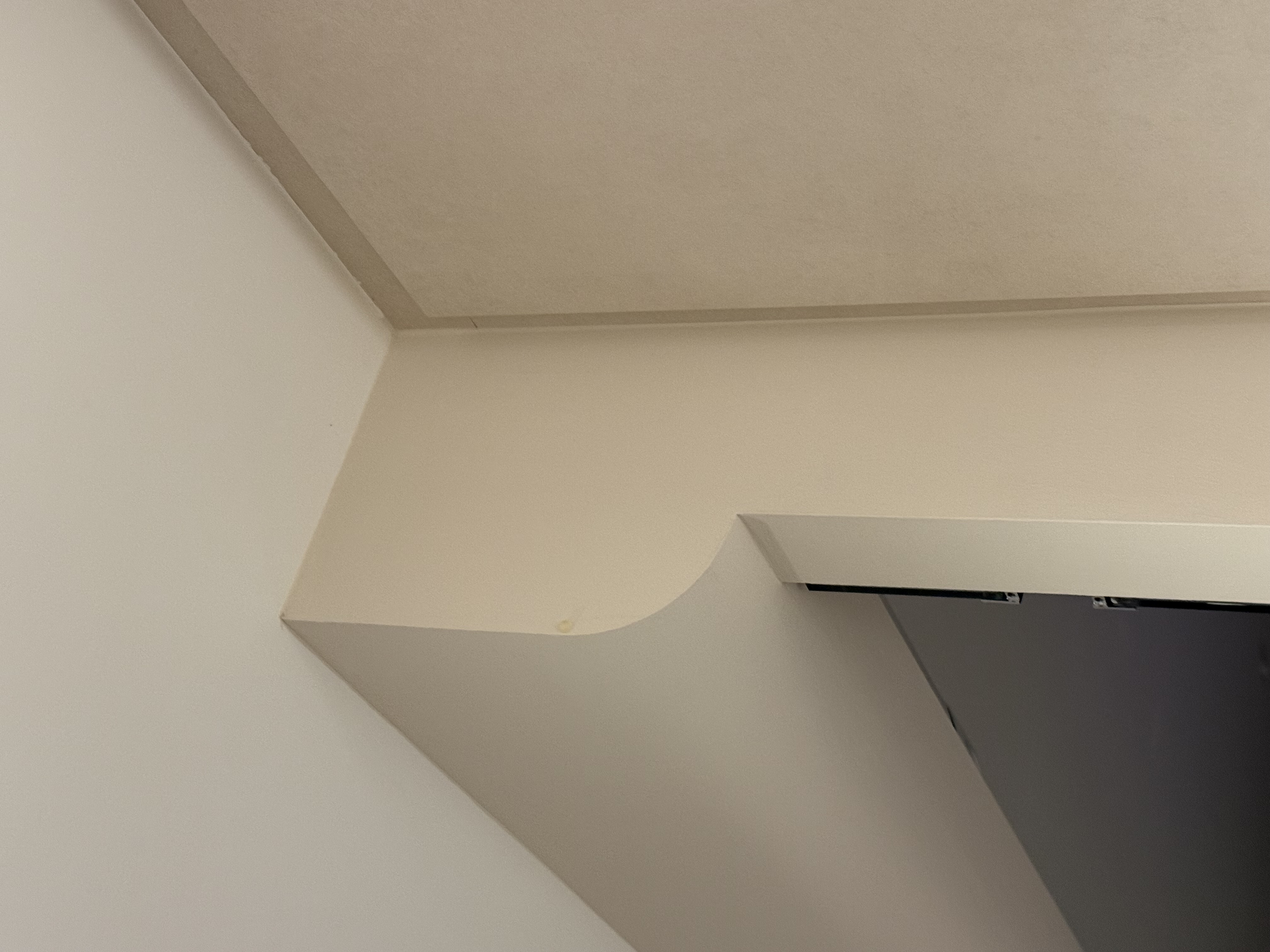 How-we-incorporated-curves,-curves,-and-more-curves-